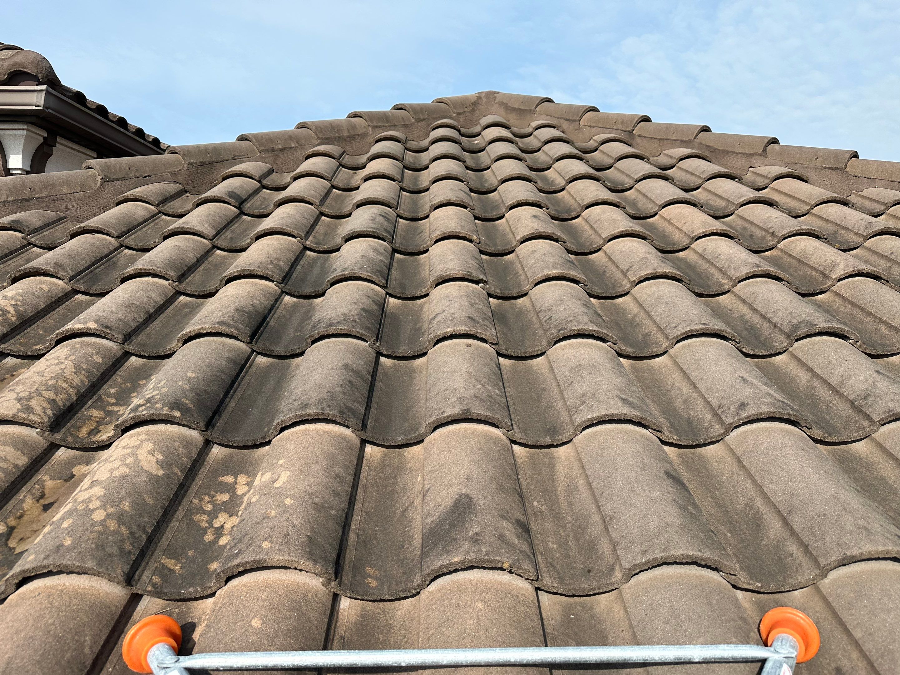 Concrete Tile Roof, Paver Pool Deck, Screen Enclosure & Driveway Cleaning in Artisan Lakes Esplanade, Palmetto, FL | Sunshine AquaWash by Sunshine AquaWash