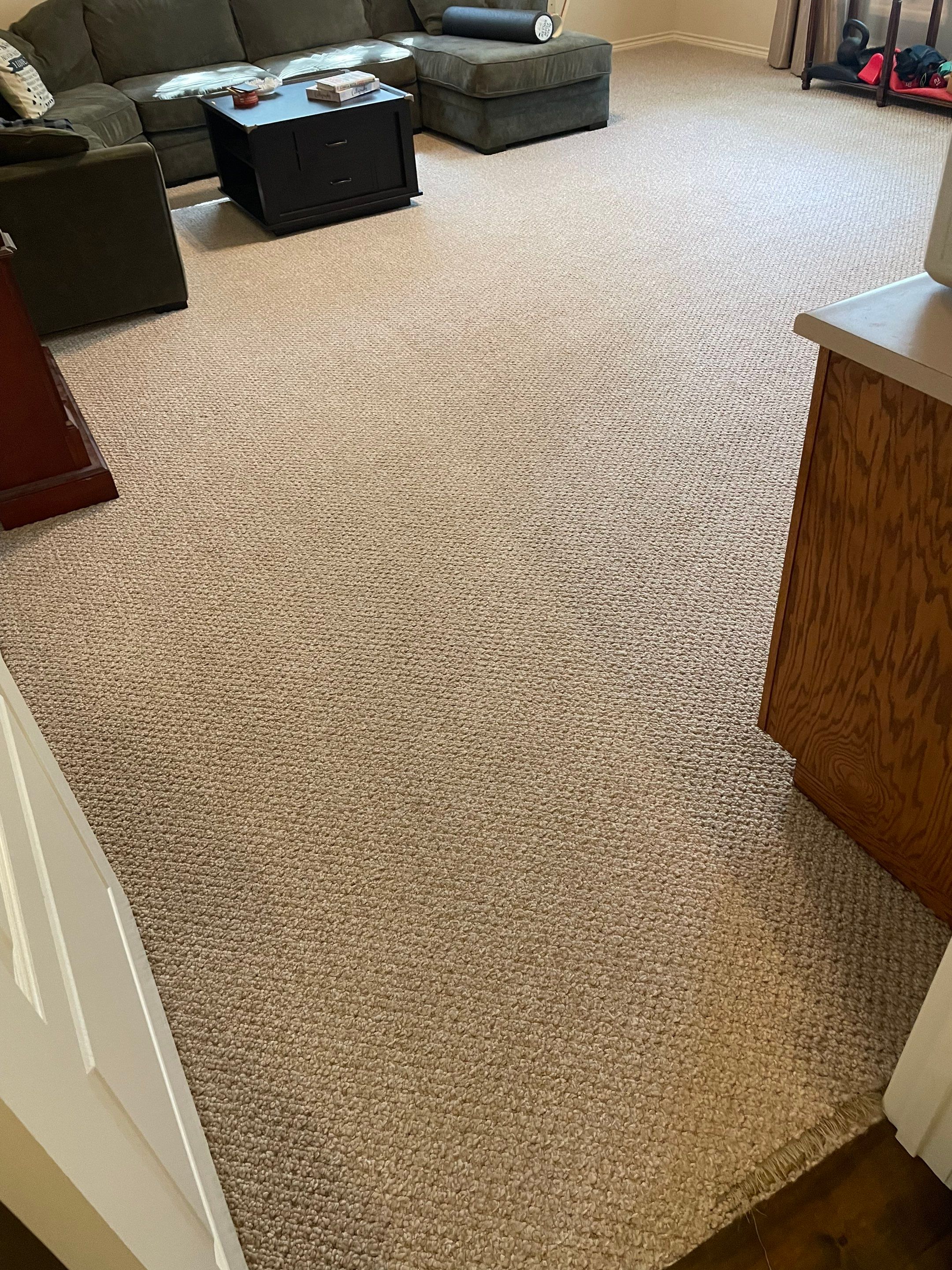 the service being done is carpet cleaning in a living room area removing dirt and stains from the carpet surface