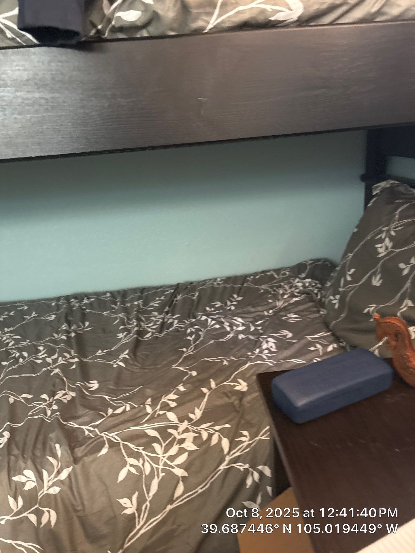 Joness Backyard by CompanyCam Sales Demo