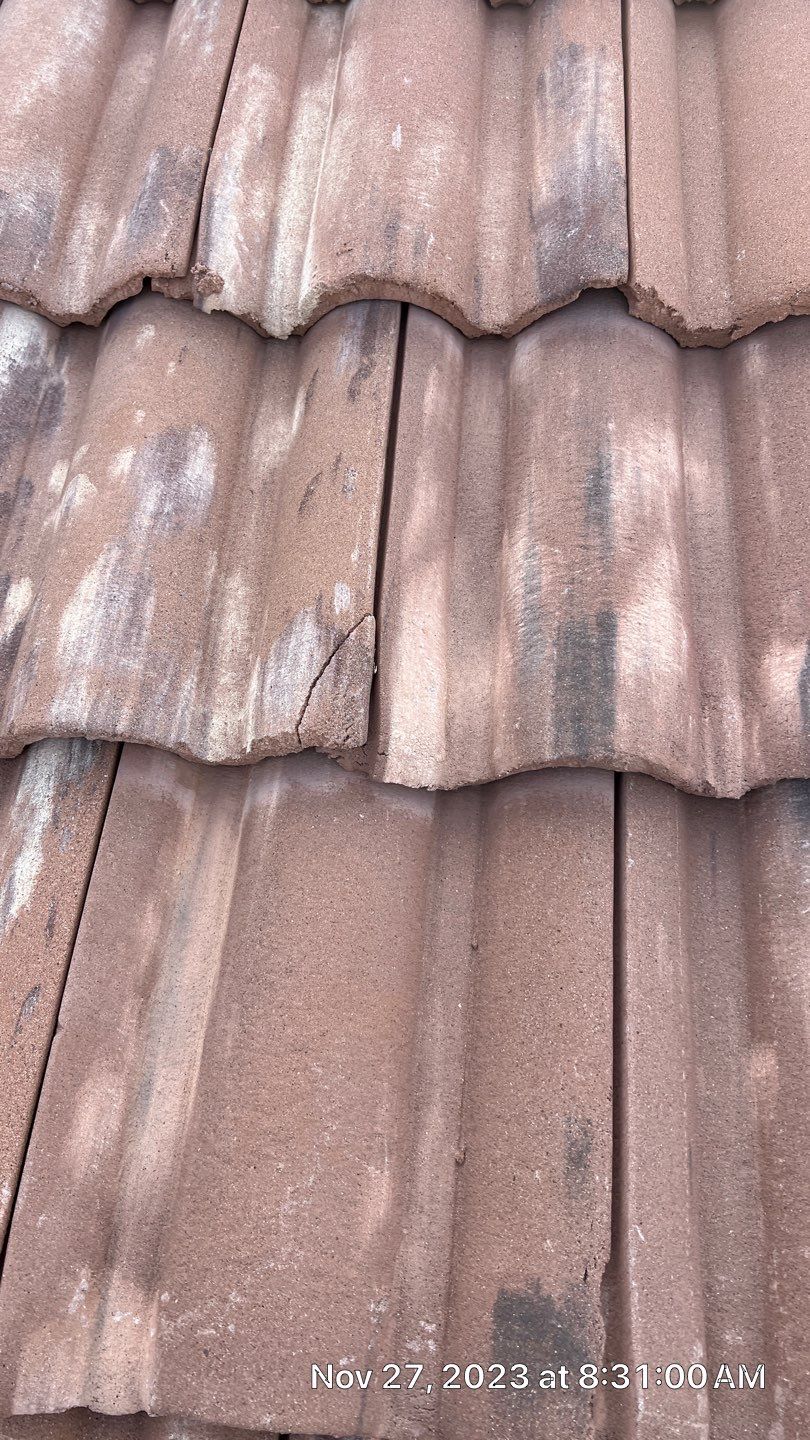 Exterior Painting - Carefree by Crash of Rhinos Painting & Garage Floors