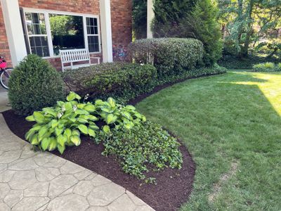 Spring Clean Up, Edge, Prune & Mulch