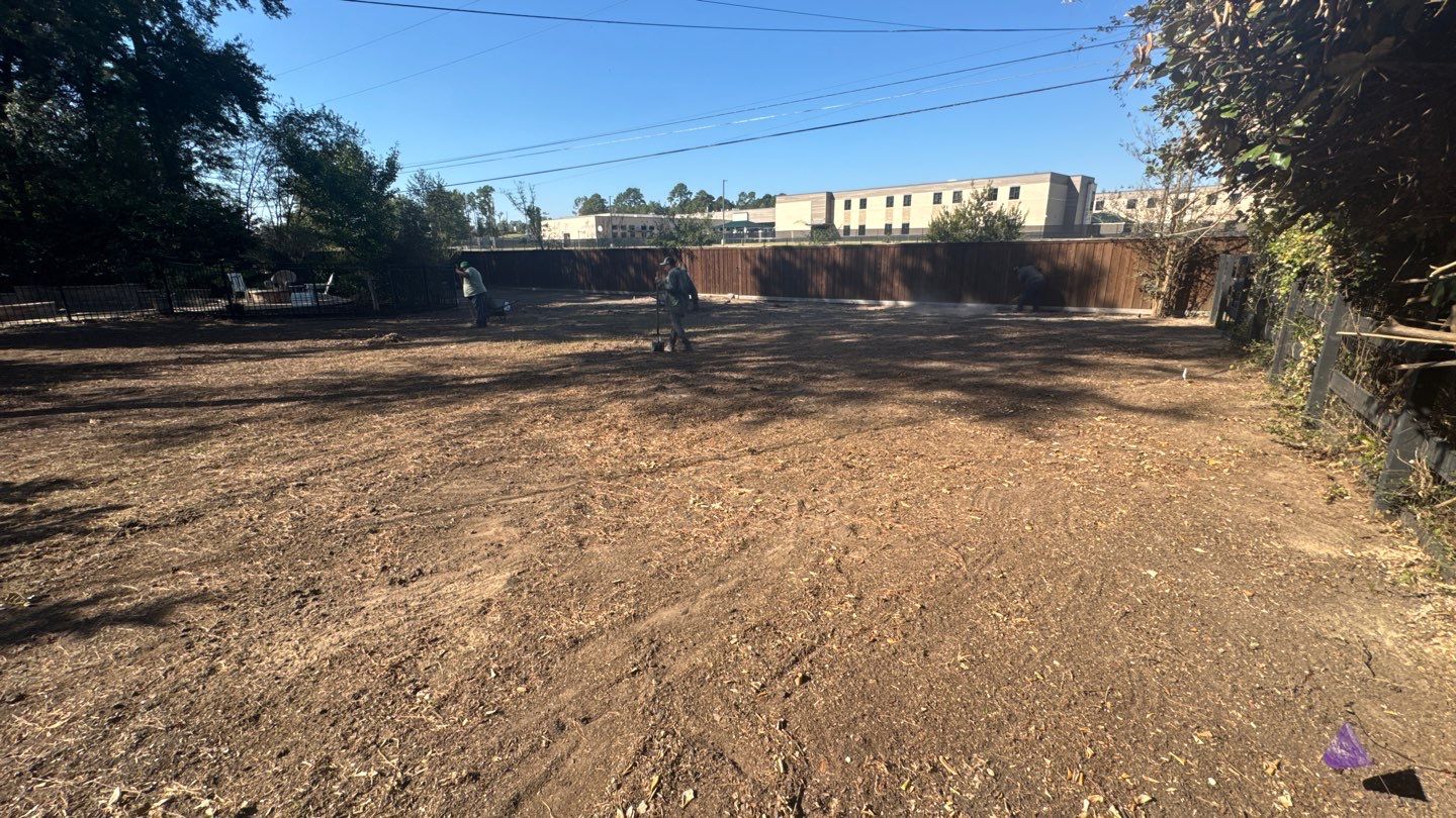 Mr. Jeff — Backyard Drainage & Grading Improvement by Texas Urban Elements