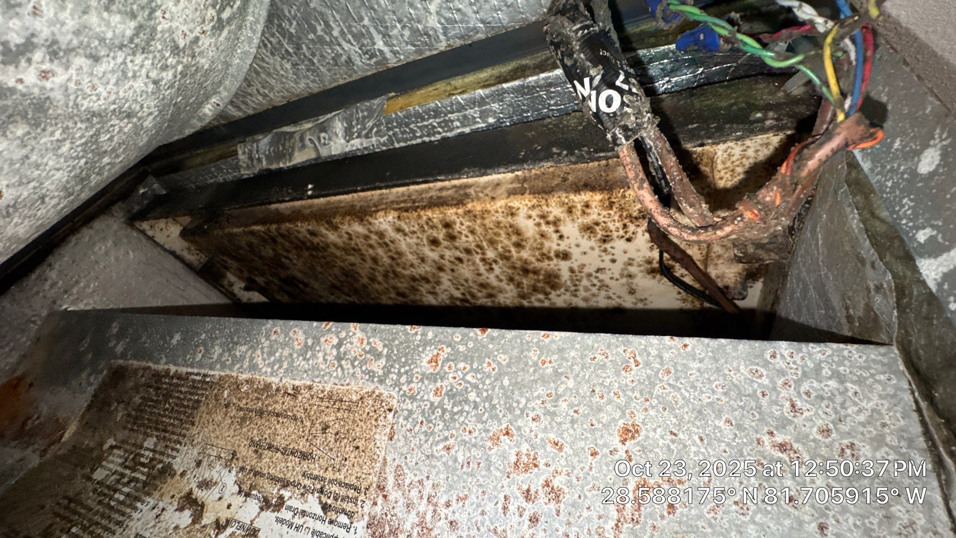 AIr Duct and Dryer Vent Cleaning in Montverde by Hygienic Air, Inc