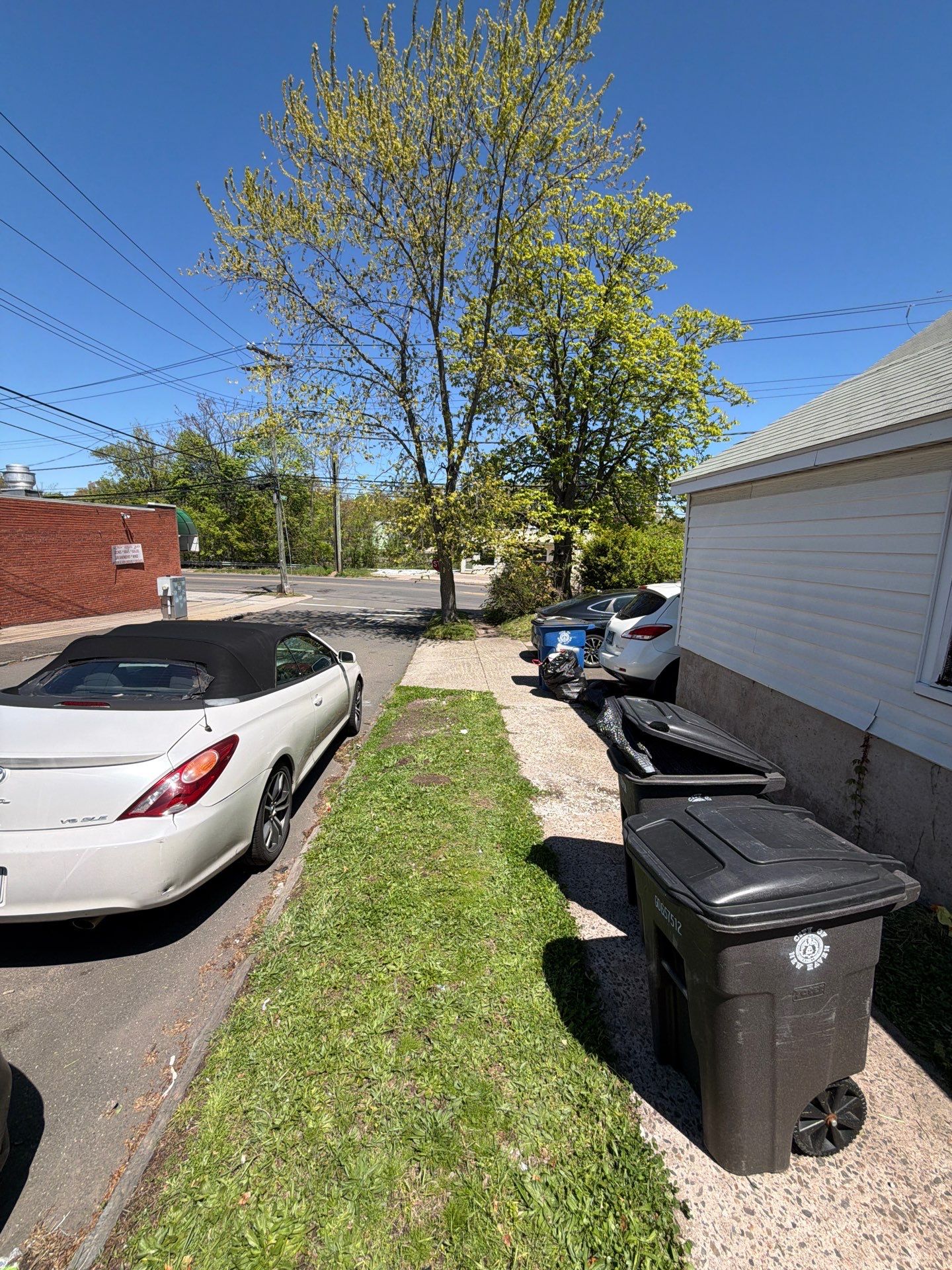 Lawn Care and Mowing Service at a Residential Property in New Haven, CT by Diamond Image LLC