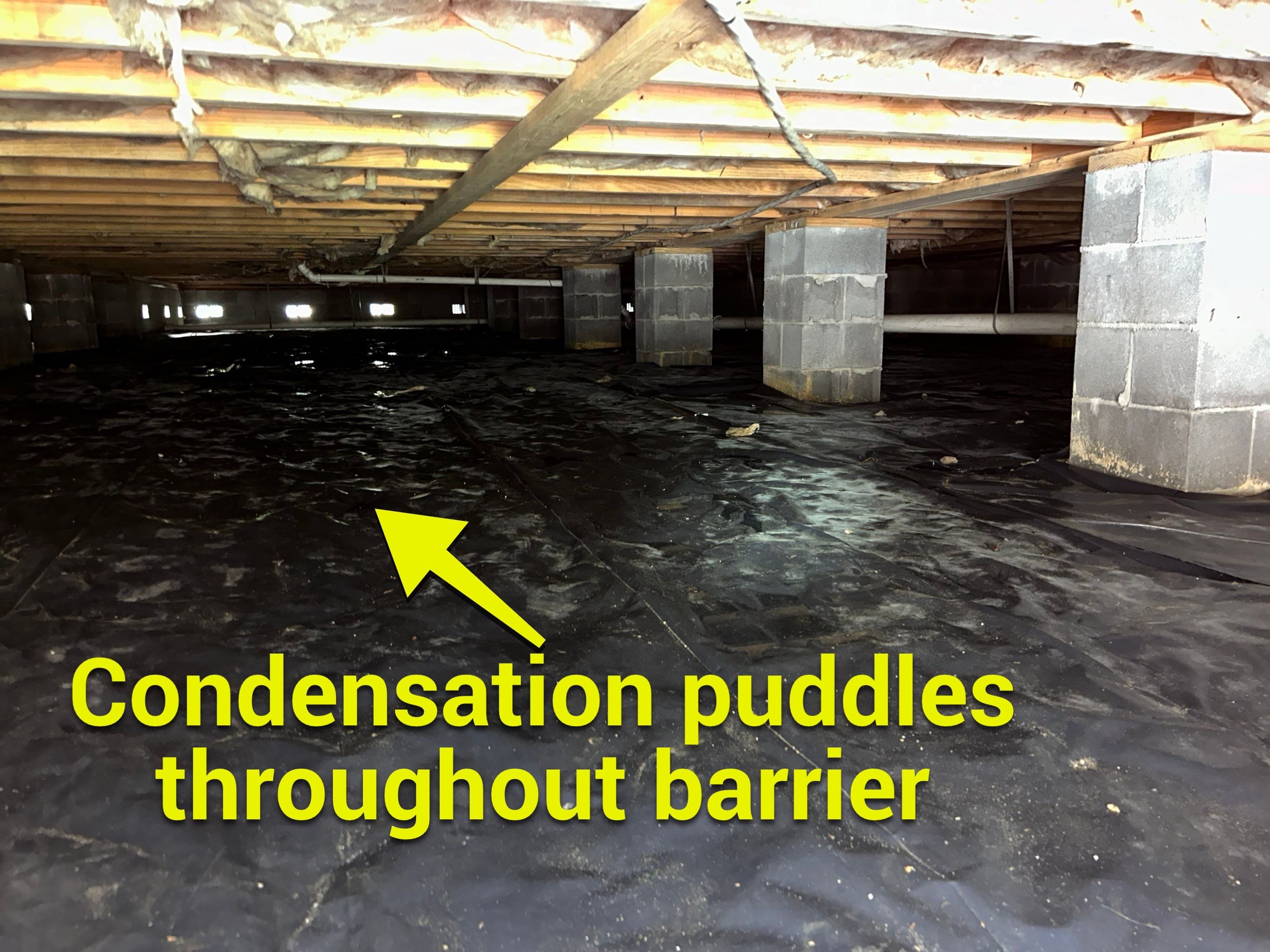 Premium Encapsulation with 20Mil, Borafoam insulation and Light System. by Impact Crawlspace