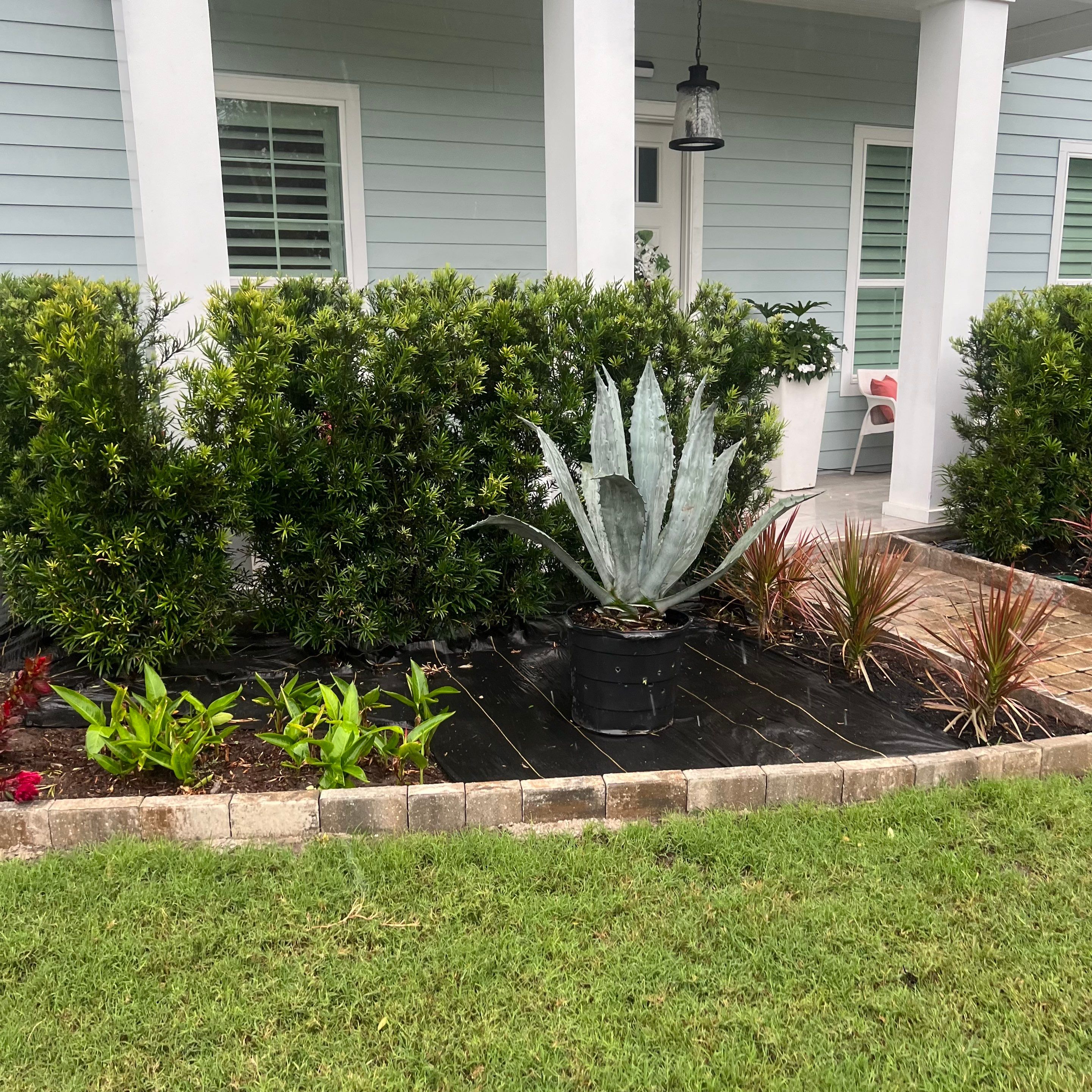 Rock & Agave Installation | Residential by ProGreen Services
