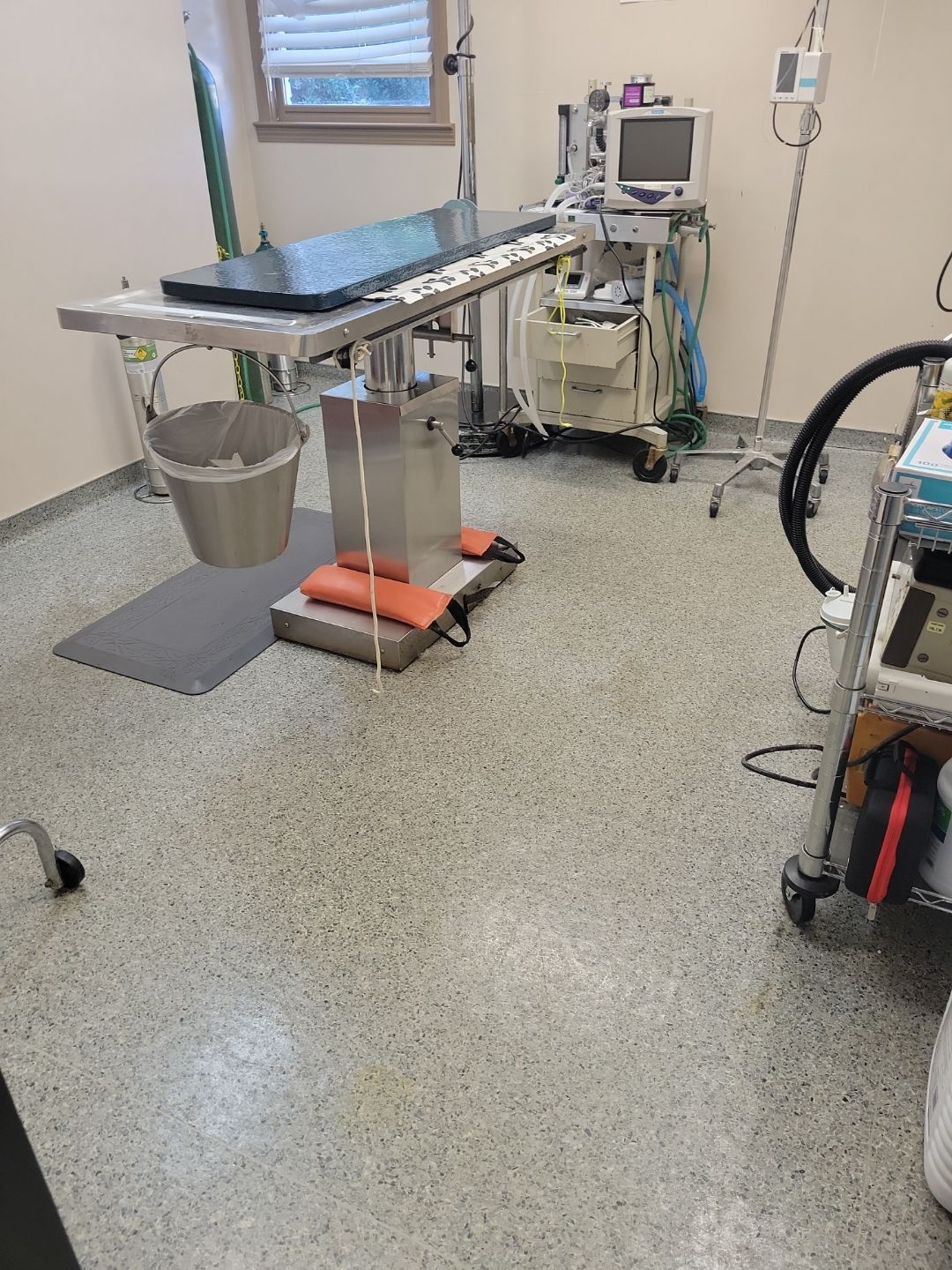 Commercial Vinyl Plank Flooring Installation at Dunwoody Veterinary Clinic by Flooring Xpress CO 