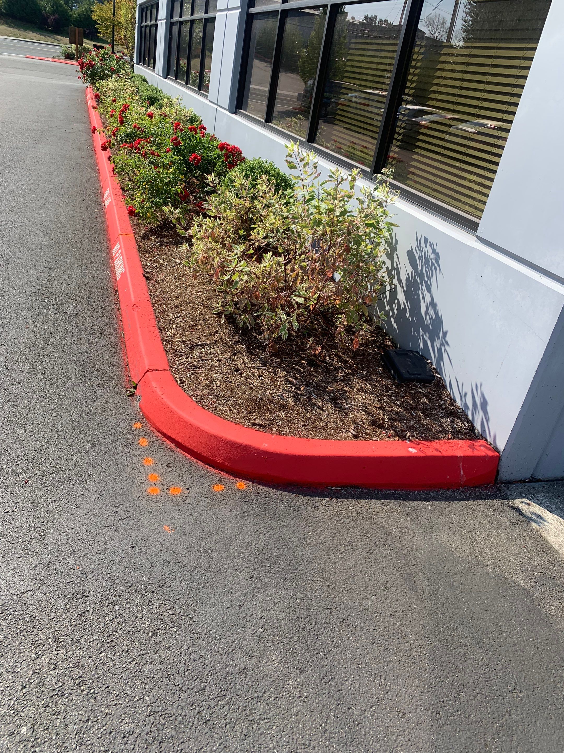 Access Laser Company/Commercial  by Jireh Asphalt & Concrete Inc 
