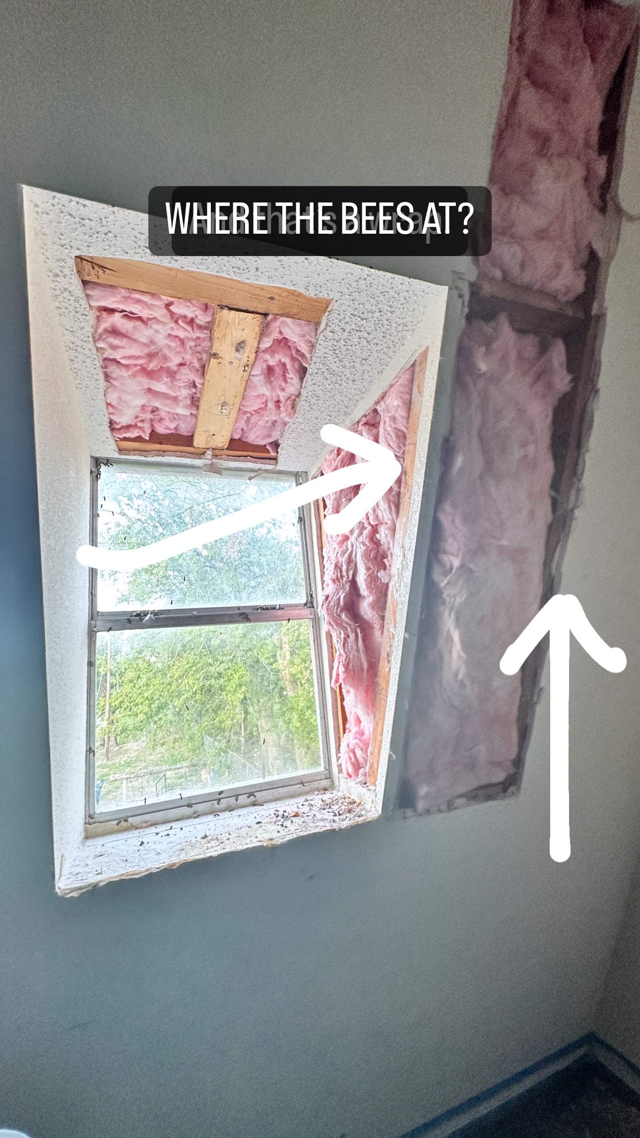 Sheetrock Bees by Rockwall Honey Bee Company