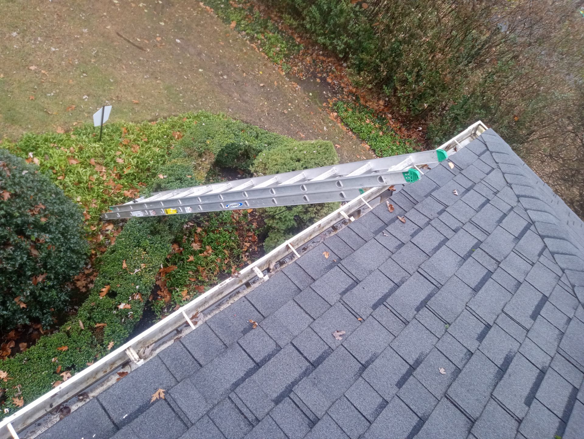Dan Raines by Silver Leaf Contracting 