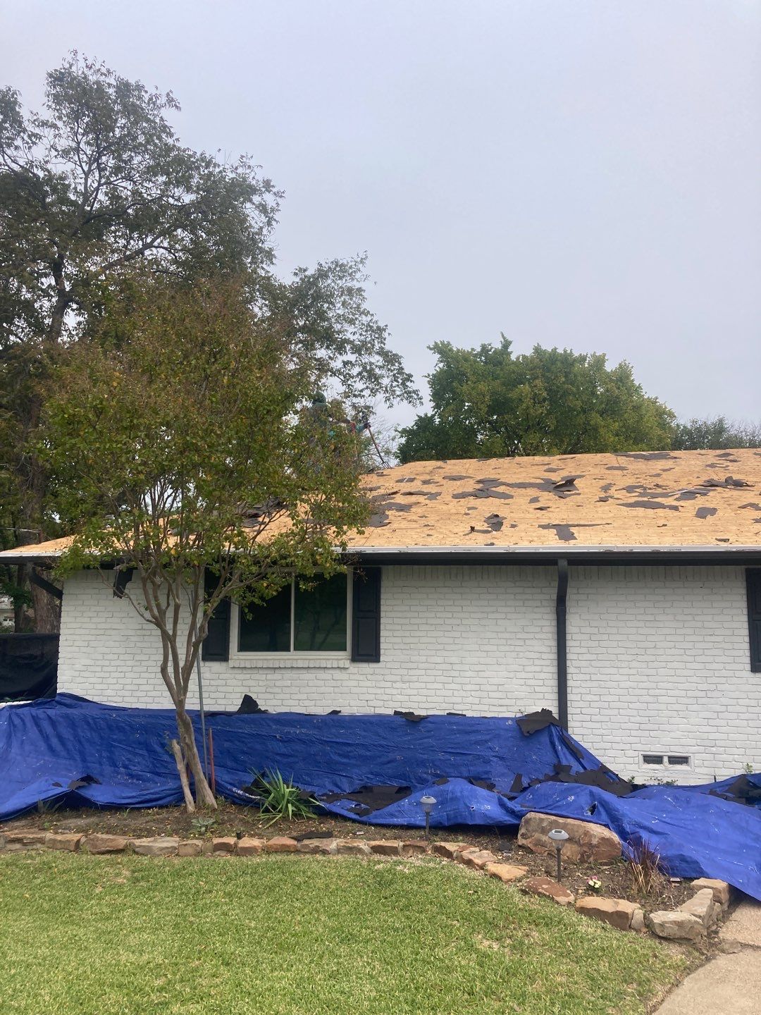 Project in Dallas by Armor Roofing | Exteriors