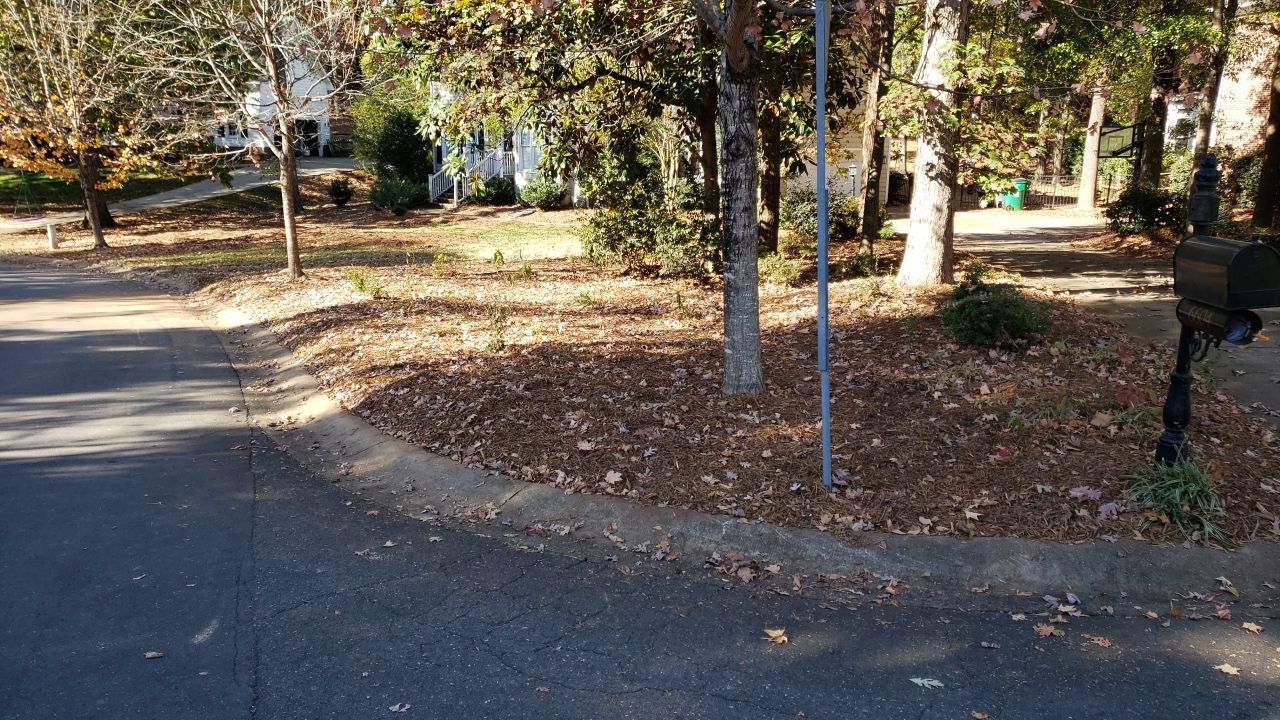 Driveway Clean using cleaner by Power Wash Masters LLC