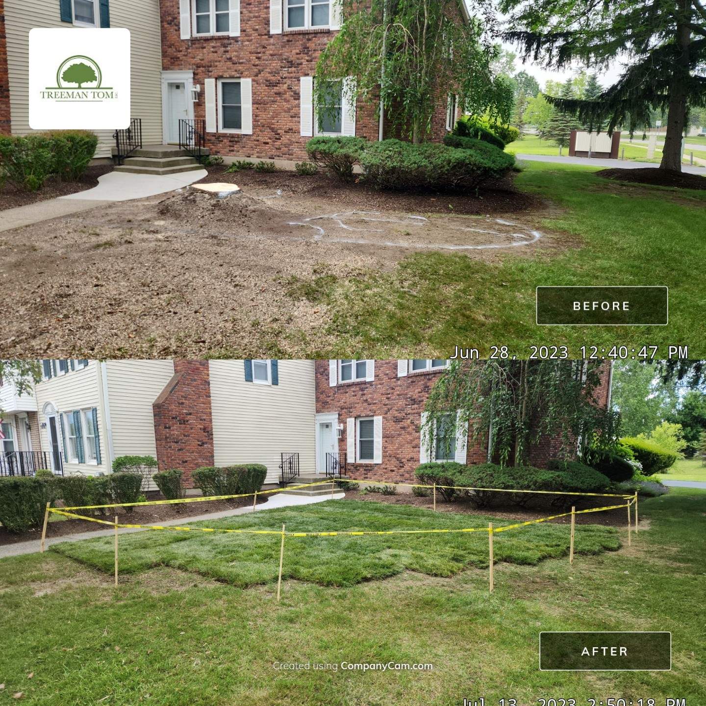 Commercial Project by Treeman Tom LLC