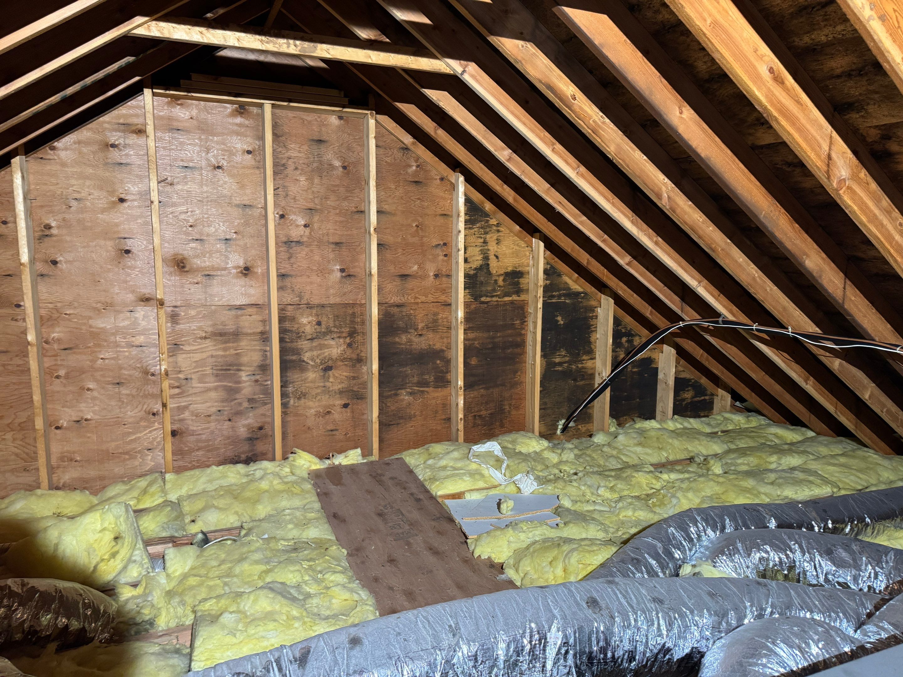 Attic Mold Remediation using Home Guarantee by Home Guarantee, LLC
