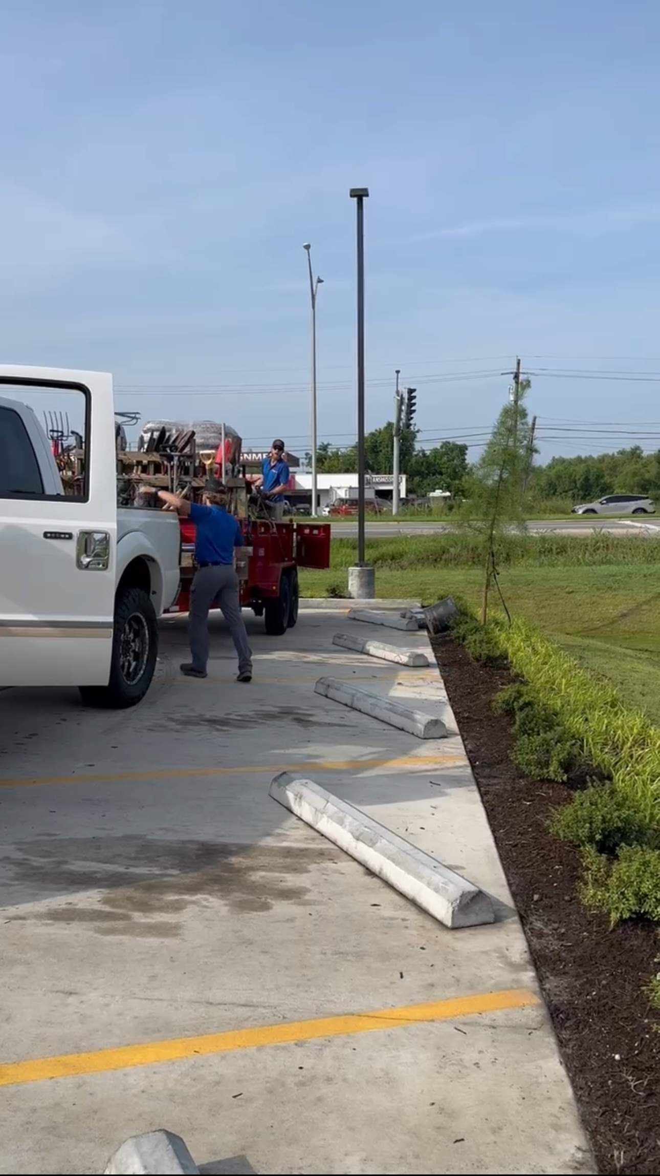 COMMERCIAL: HEDGE TRIM / BED CLEAN / MULCH INSTALL using BROWN MULCH "BARK BRITE" by CutScape, LLC.