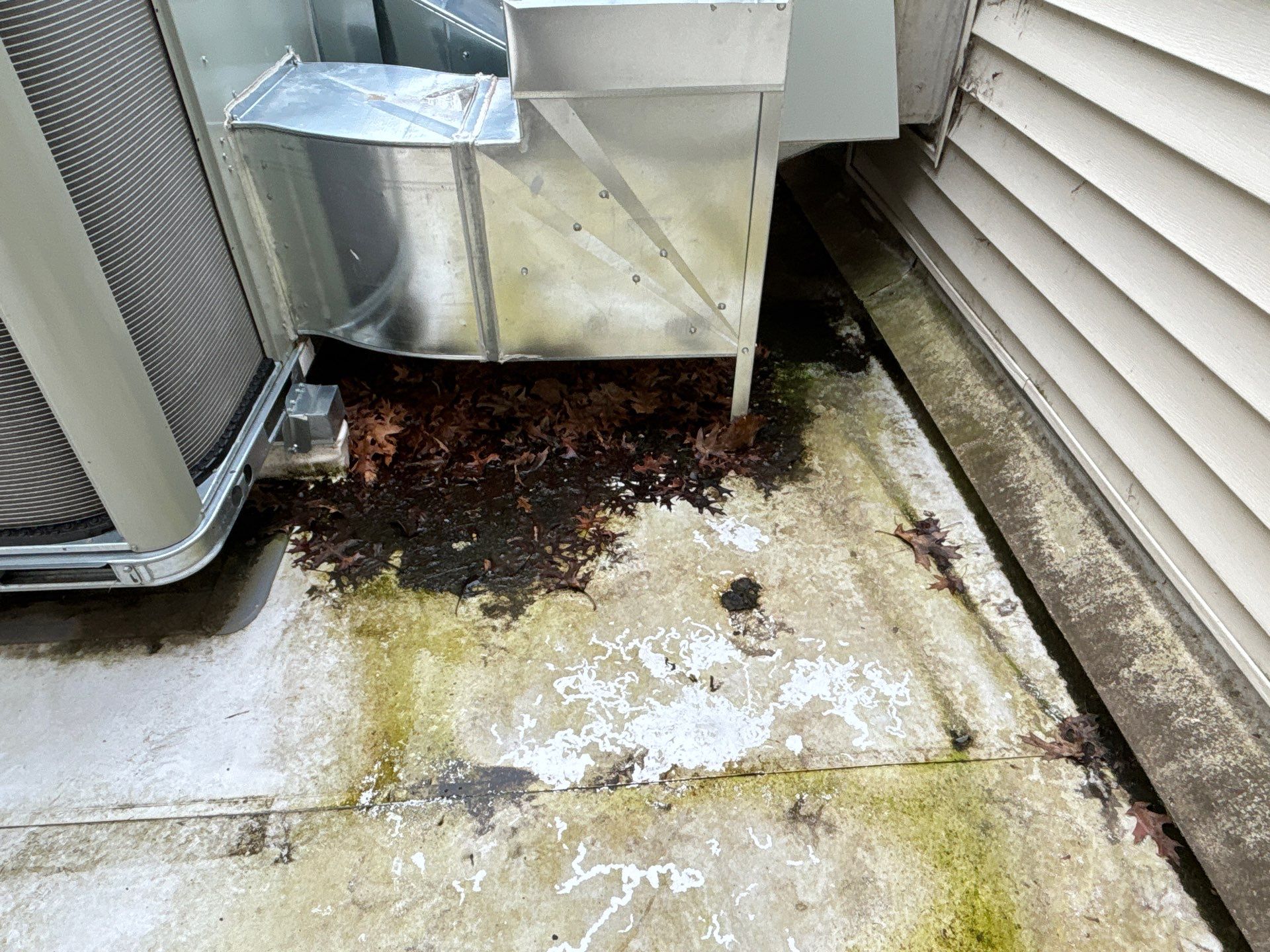 Commercial Roof Restoration in Eugene, OR by BEST Roofing & Waterproofing