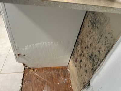 Mold