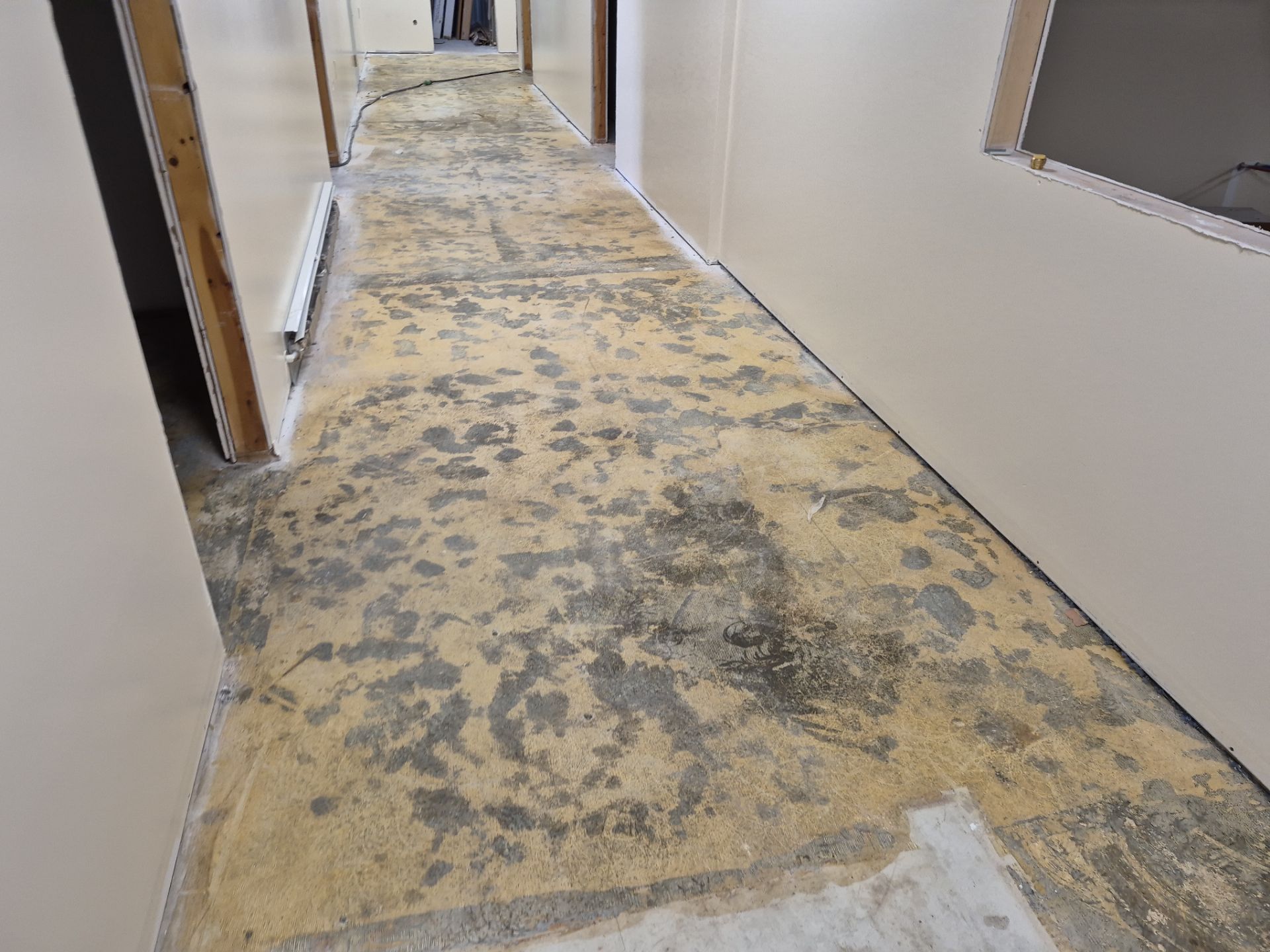 Project in Maple Rapids by Wise Coatings of Central Michigan