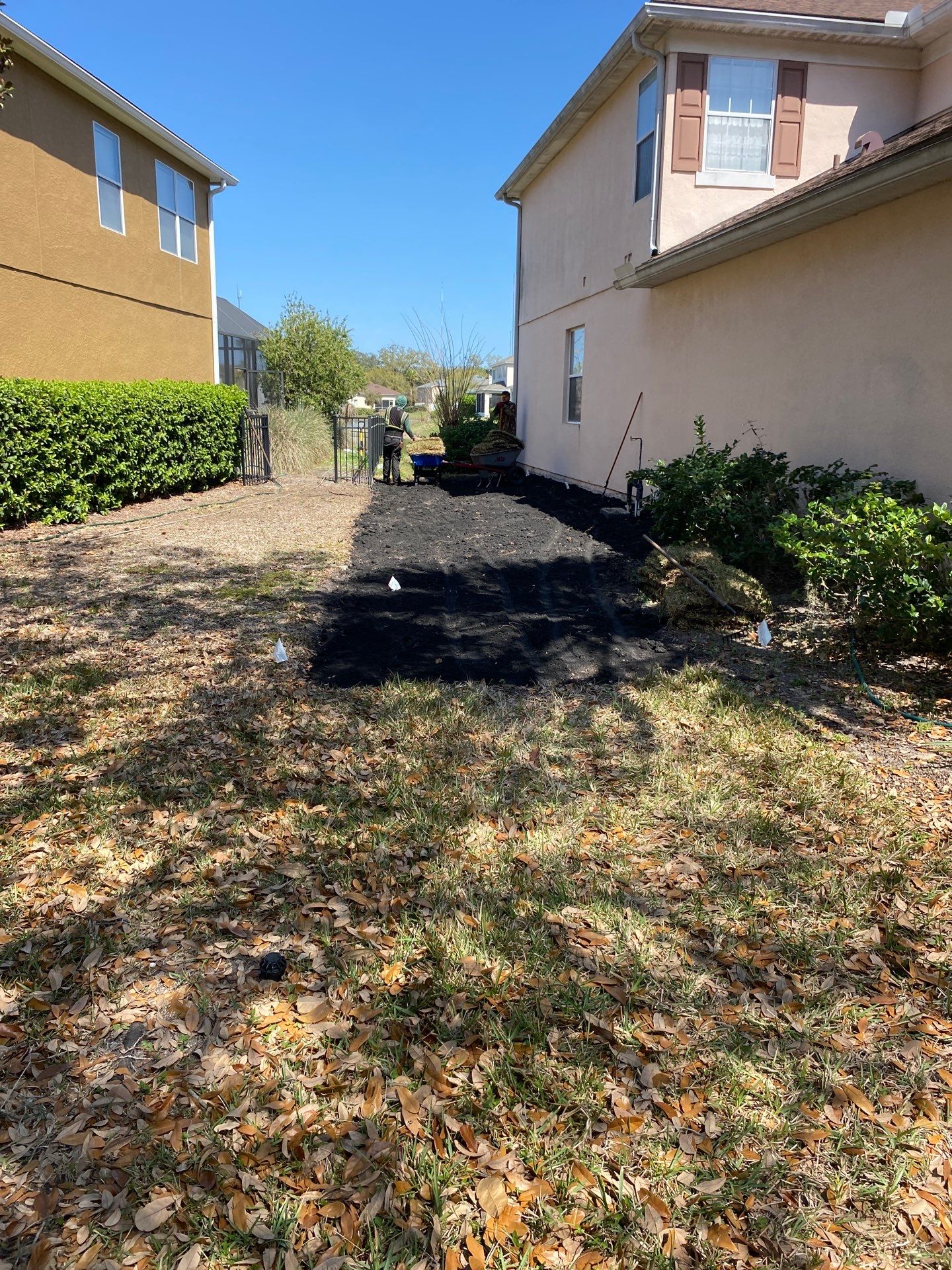 Residential | Sod Install by ProGreen Services