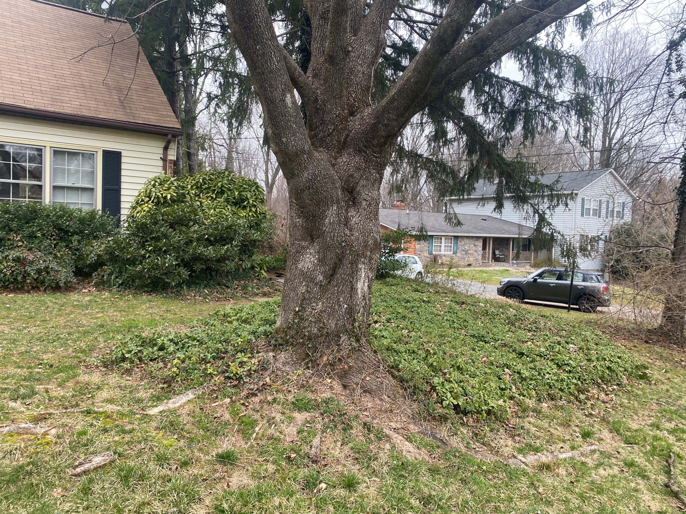Landscape cleanup & drainage by The Smet Companies, LLC
