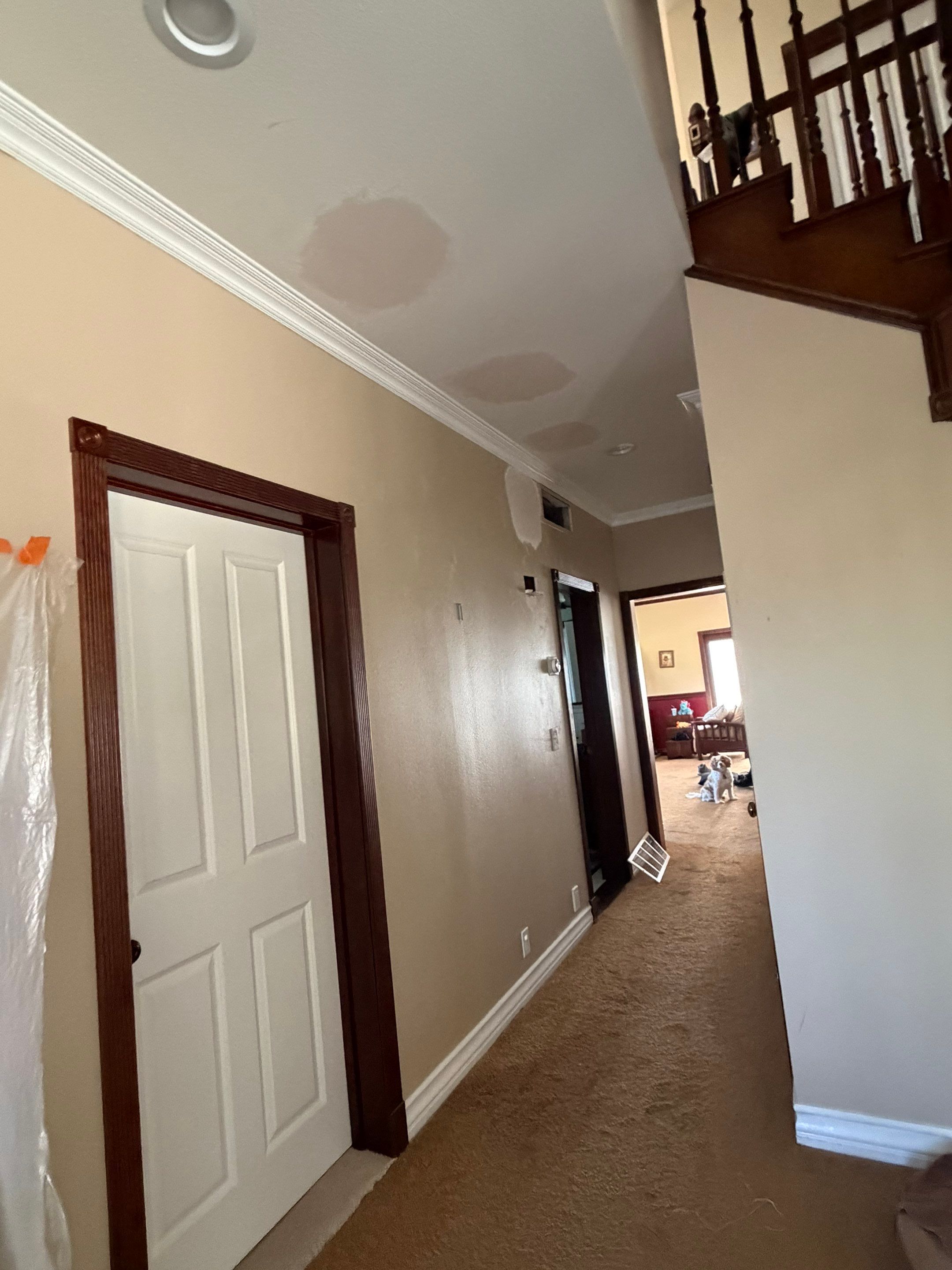 Carol's Interior by Asis Painting Inc