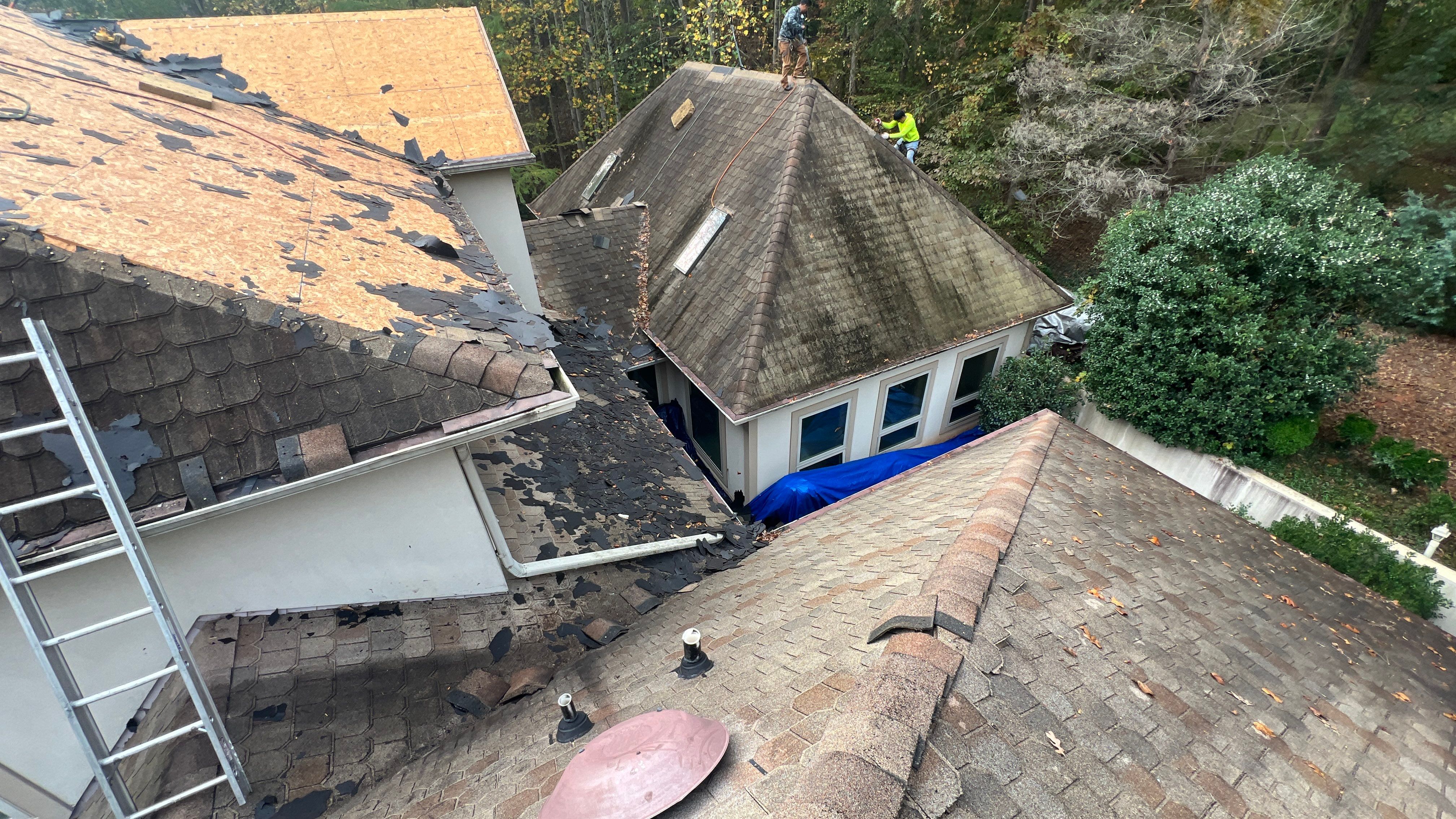 Catherine Cutter by United Contracting and Roofing