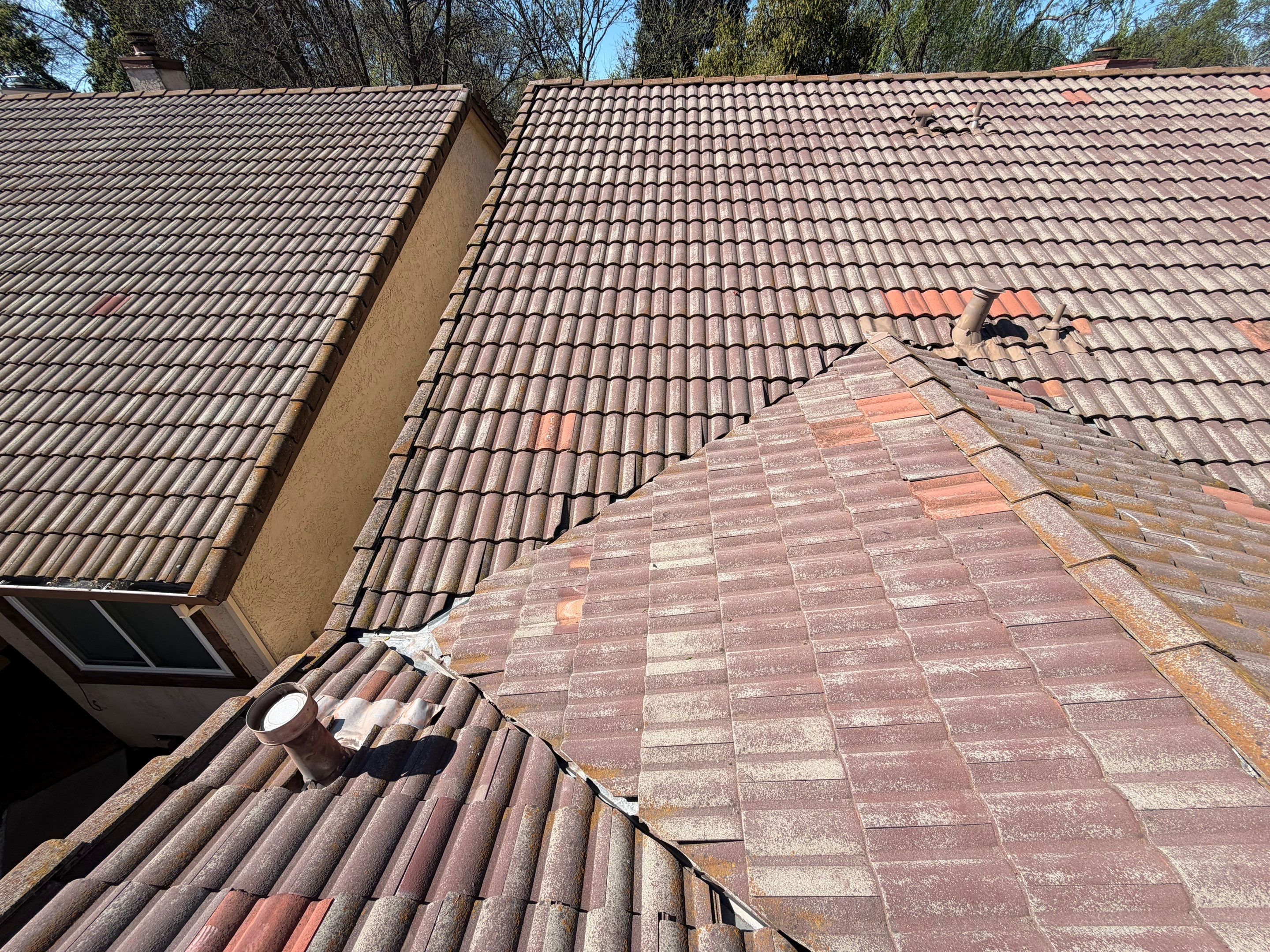 Project in Citrus Heights  by NuLead Construction Inc