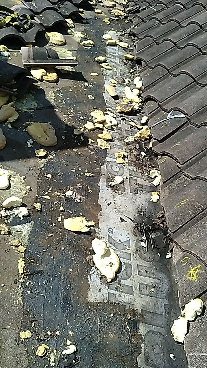 Tile Roof Valley Leak Repair and Interior Ceiling Restoration in Davie by Aastro Roofing