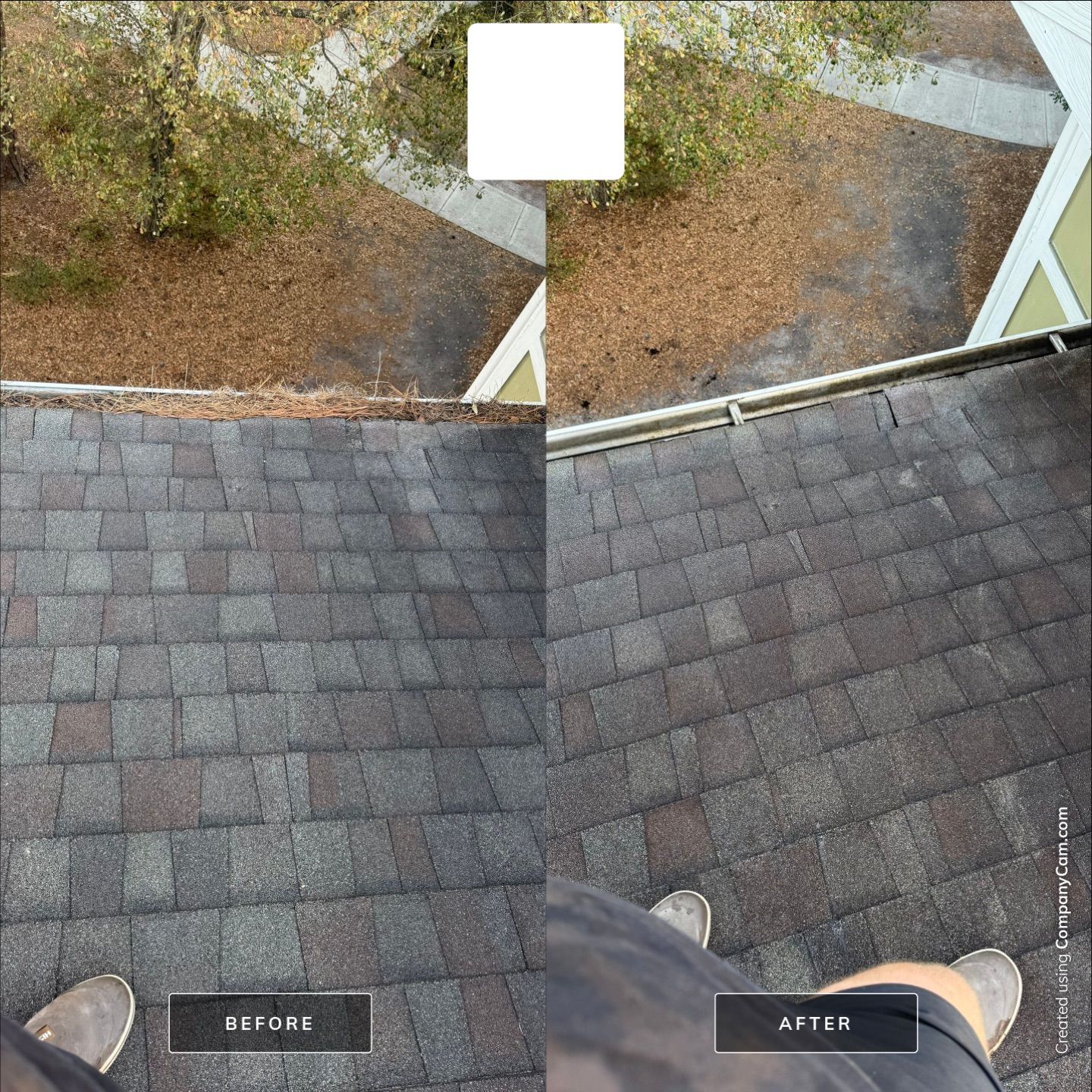 Apartment Gutter Cleaning by Shark Power Washing