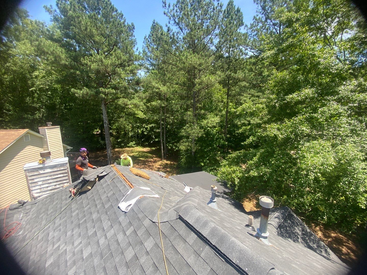 Rotten Wood by Roof Bullies