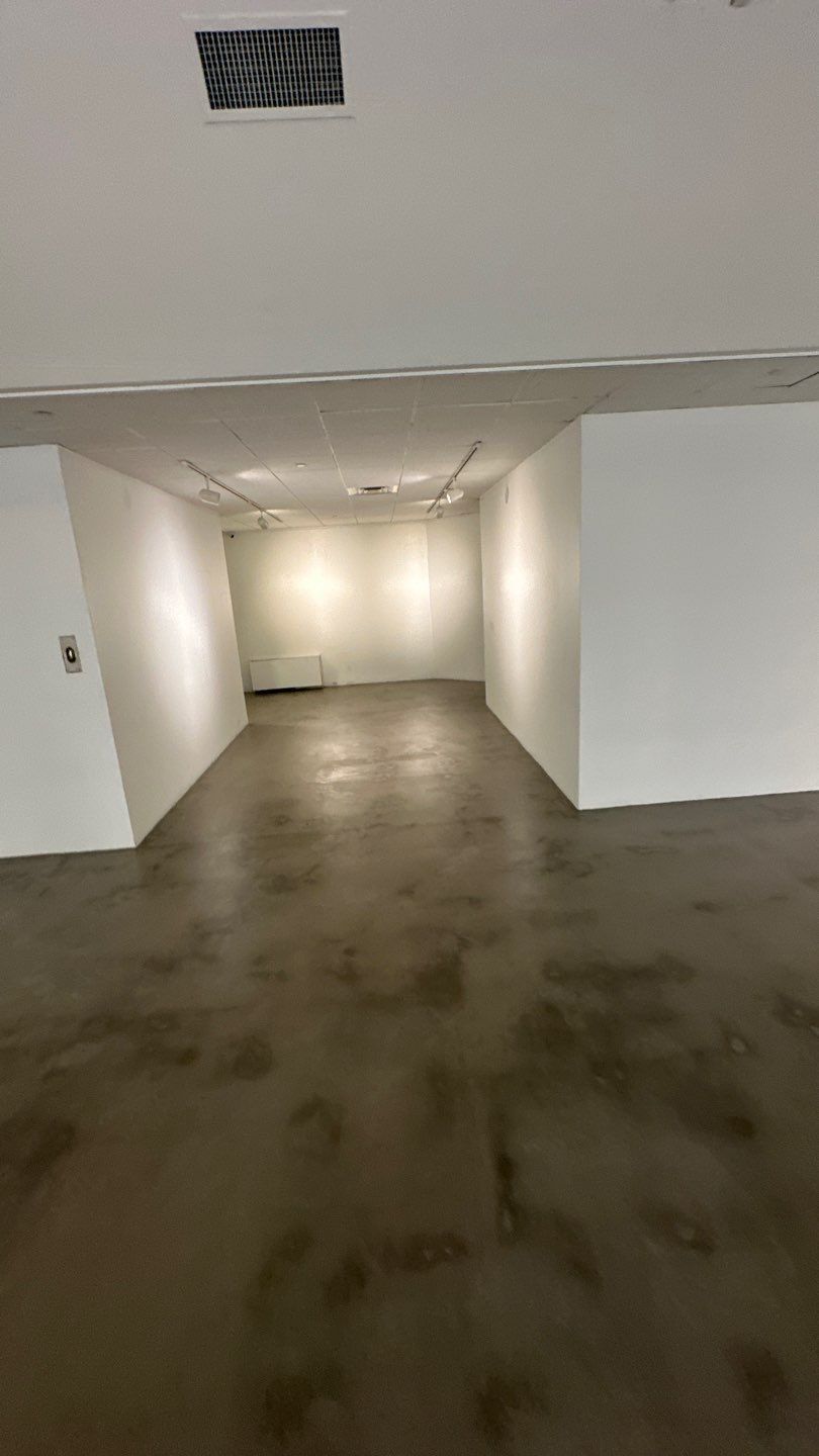 Grind off 20 layers of Paint Project in Pittsburgh by Floors in a Day, Inc