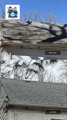 Project in Mundelein