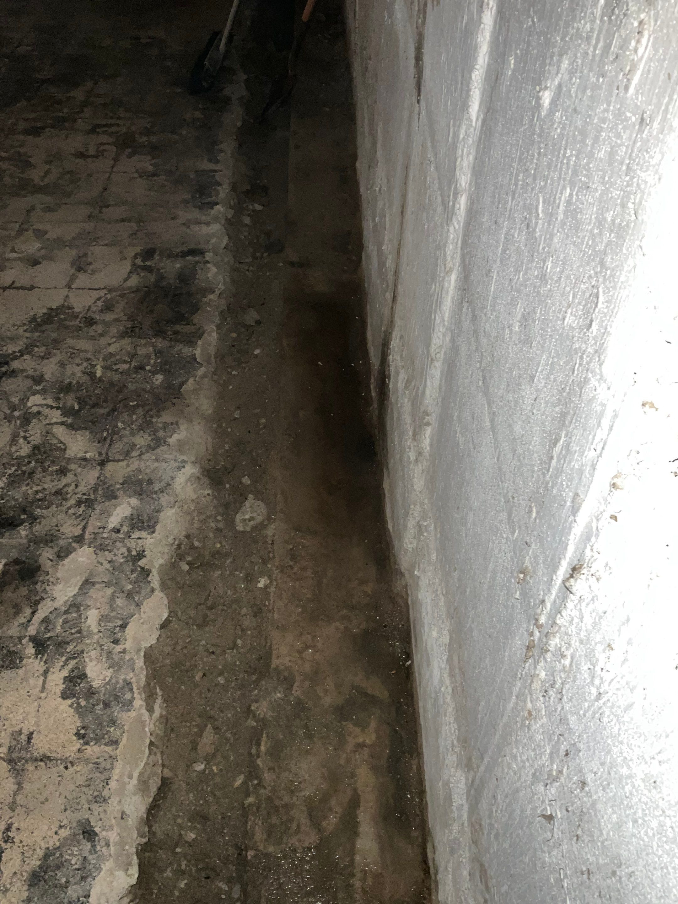 Club Dr • Massapequa, NY 11758 by A.M. Shield Waterproofing, Corp.