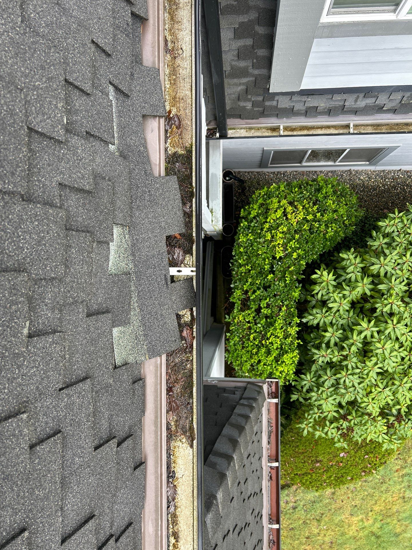 Project in Kirkland by Peaks and Valleys Construction