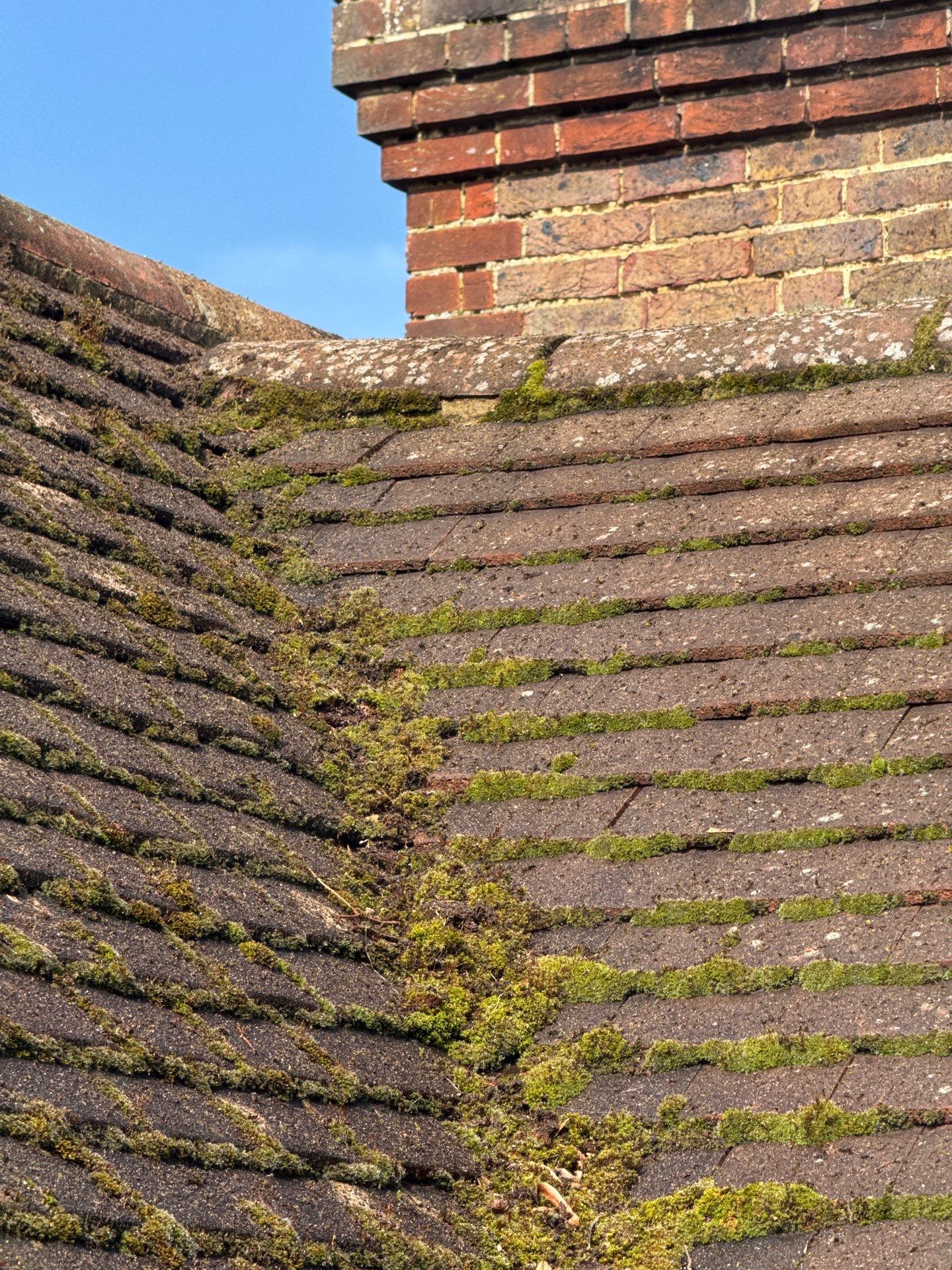 Roof Clean  - Moss Removal - Gutter Clean using Honda 15lpm Low Pressure Washing Machine by Ges Exterior Cleaning ltd