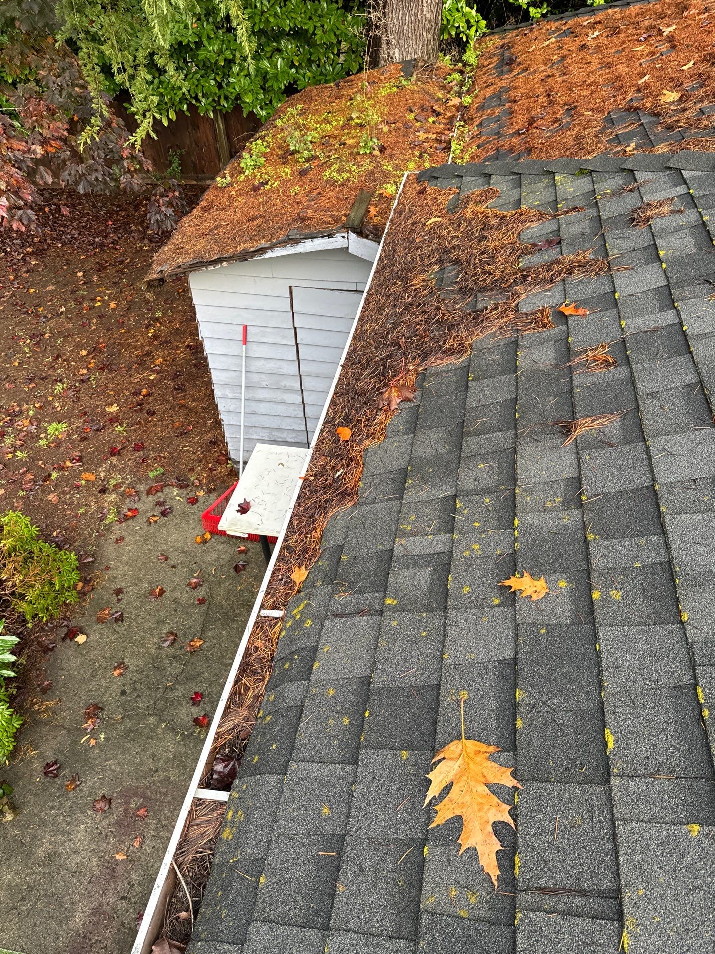 Gutter Cleaning- Taylor Way by YVR Construction Group