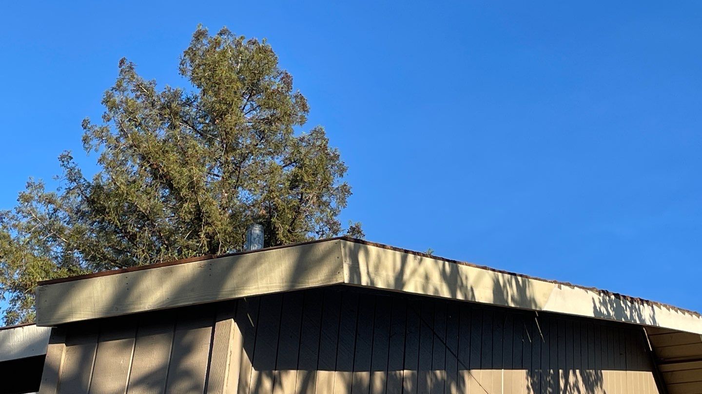 Removed tile from roof and replaced with shingles by Straight Edge Roofing Inc