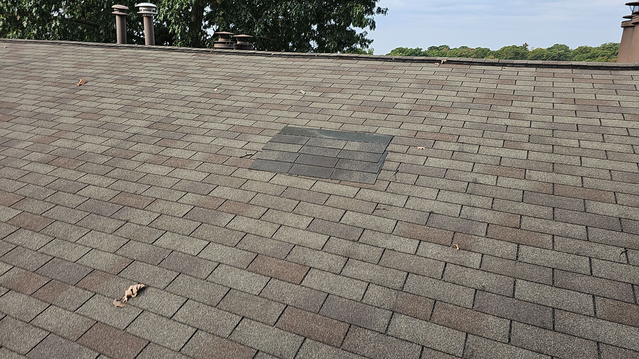 Atlas Pinnacle, Color, Copper Canyon, Drip Edge, Royal Brown by Eagle Eye Roofing
