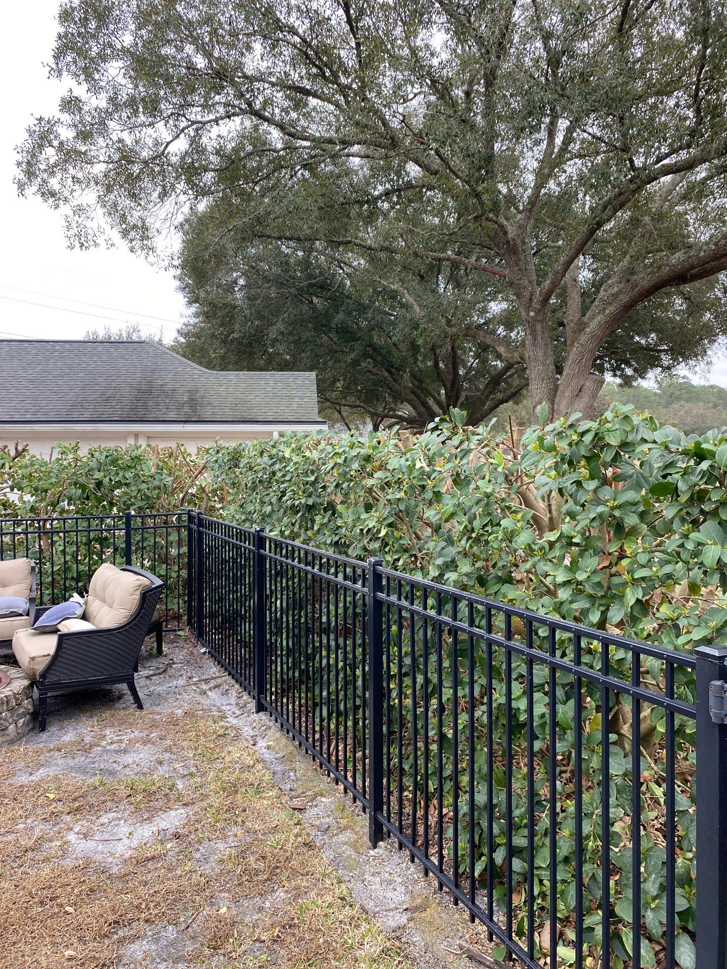 Residential | Hedge Trimming by ProGreen Services