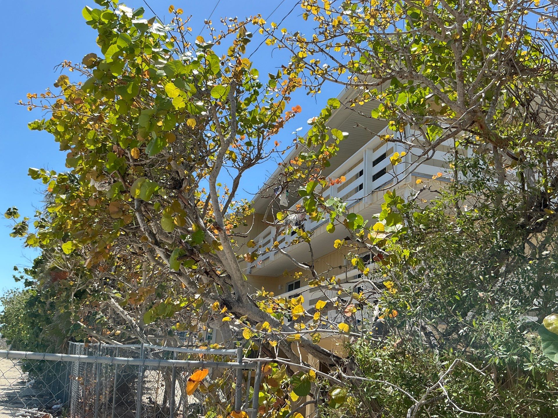 White Soffit using White Vinyl Soffit in Sanibel FL by Gutter Professors