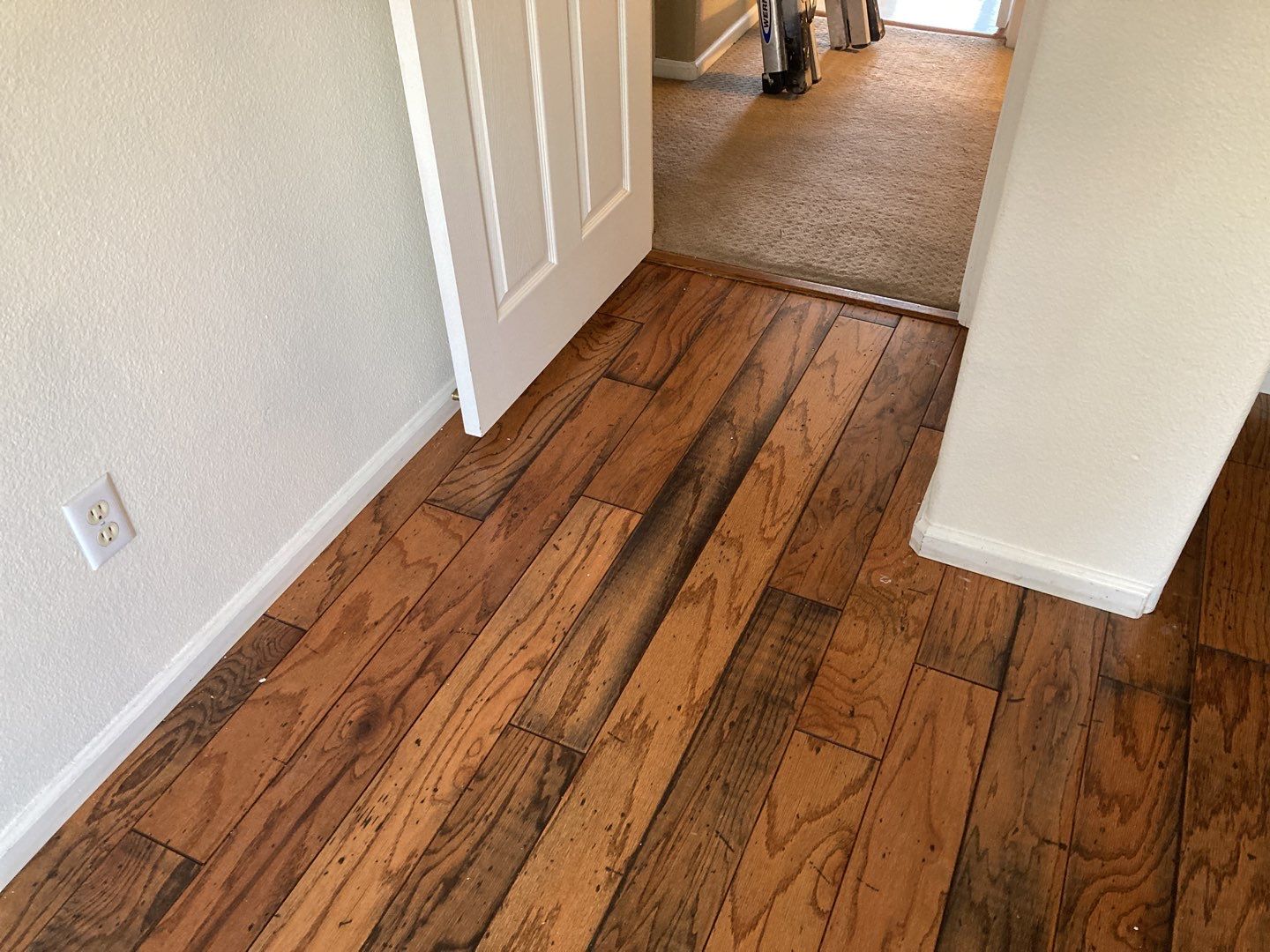 Mold Remediation Cleanup in Attic by Accountable Home Services