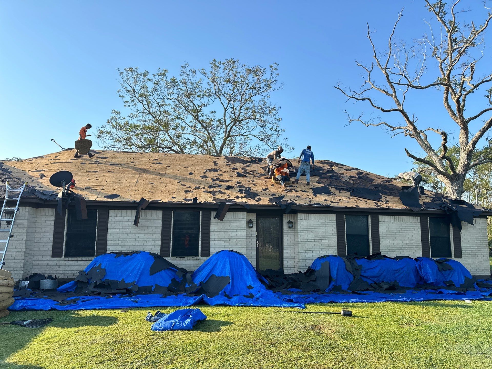 GAF HDZ TIMBERLINE BARKWOOD by Motion Roofing