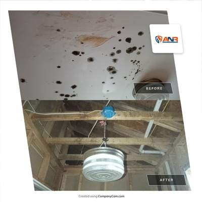 Mold Remediation in a Home in Louisville, KY