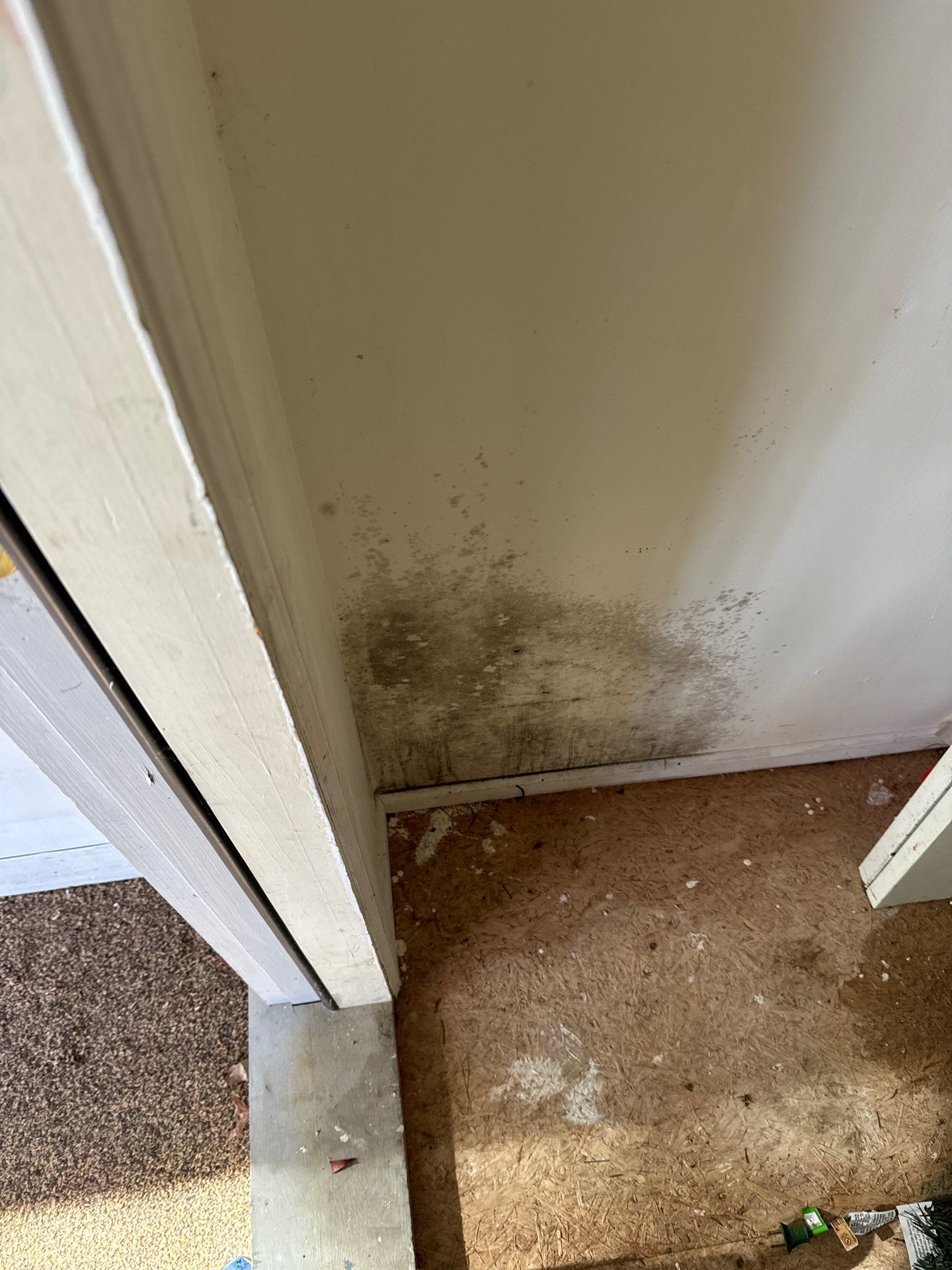 Punch List Project using Vinyl Flooring by A1 NERDY HOMES LLC