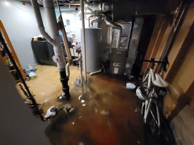Sump Pump Failure
