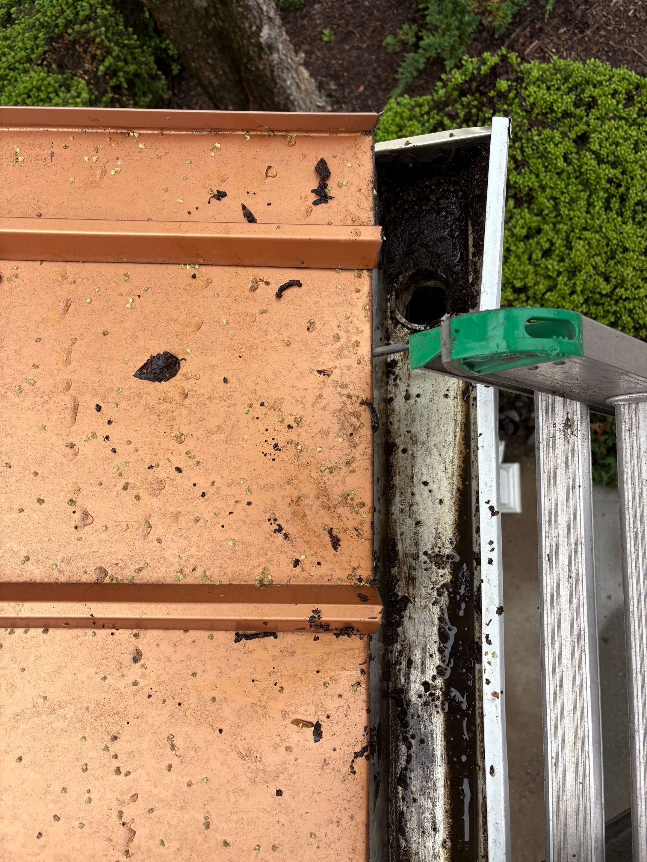 Commercial gutter cleaning Edison & New Brunswick after photo with clean gutters
