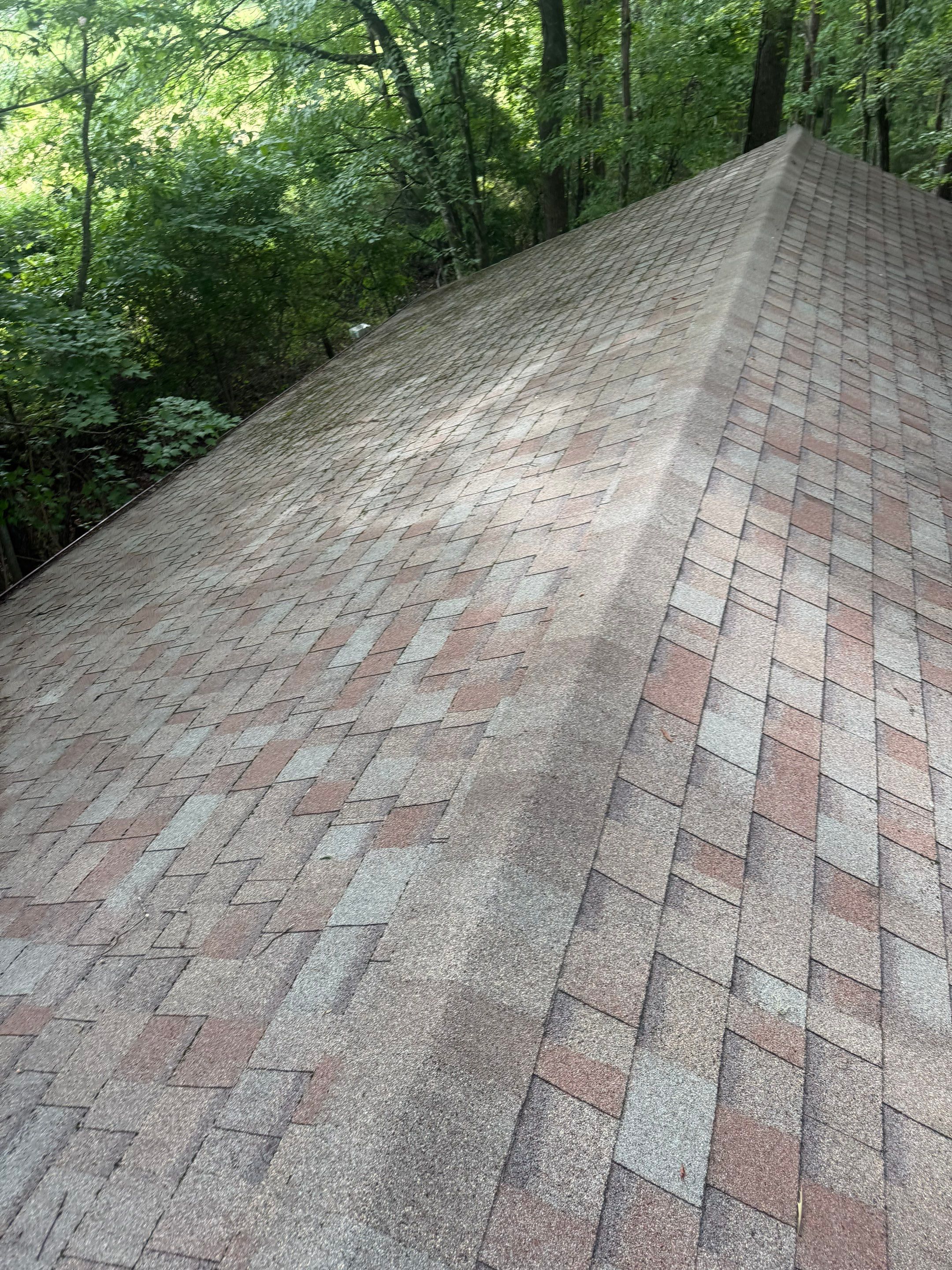 Asphalt Shingle Roof Cleaning and Debris Removal in Mills River by Bright Home Connections