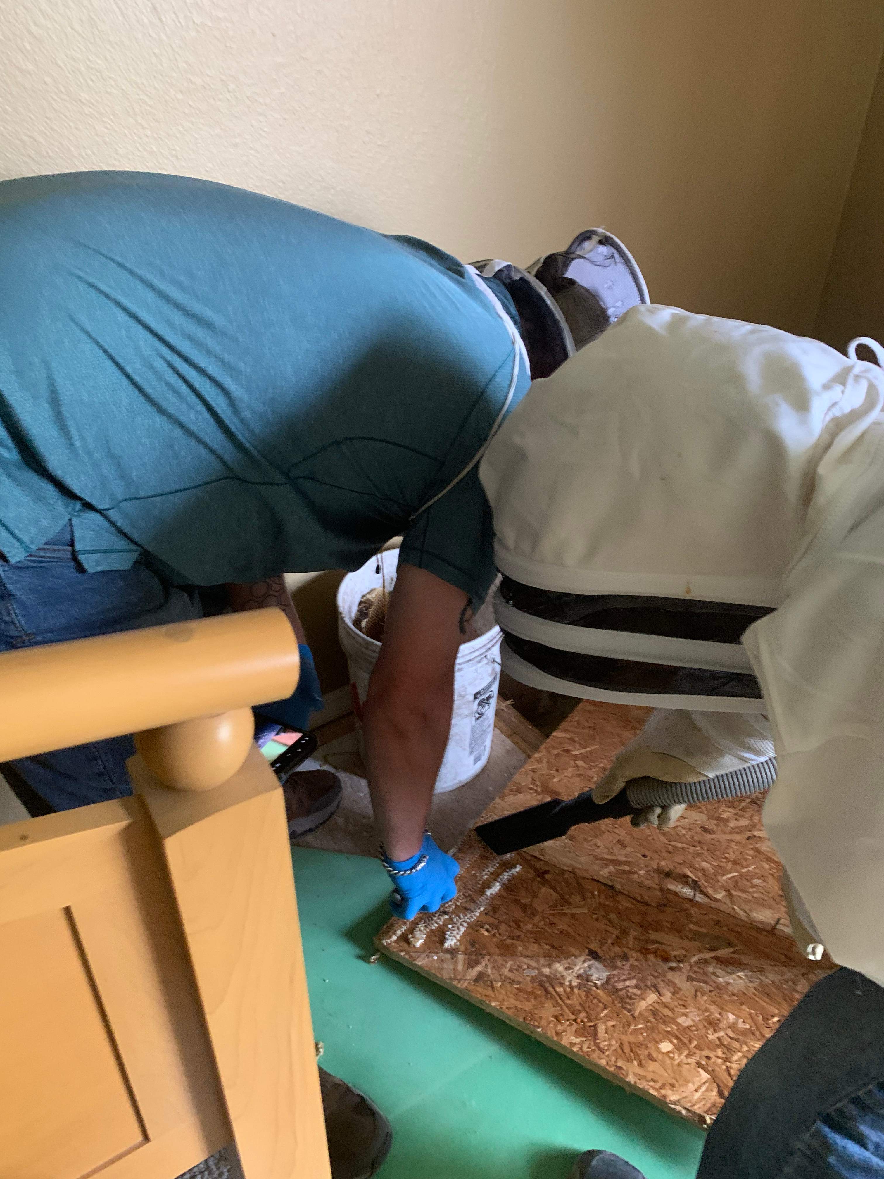 Beekeepers-to-be by Rockwall Honey Bee Company