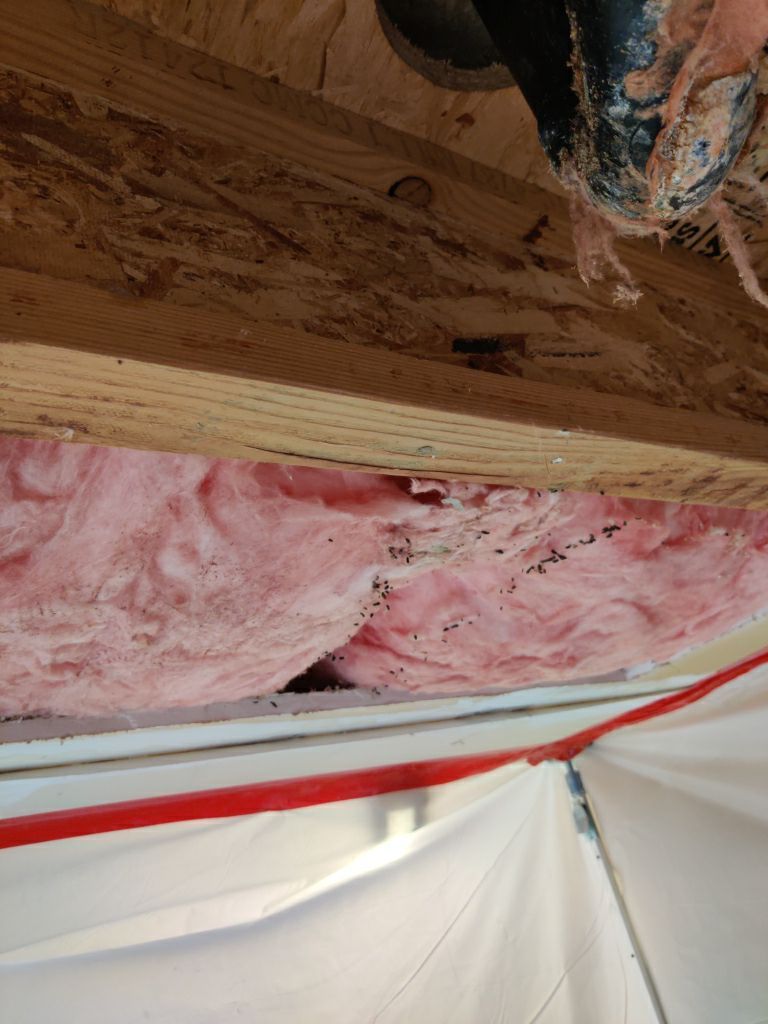 Water Damage in Garage by Accountable Home Services