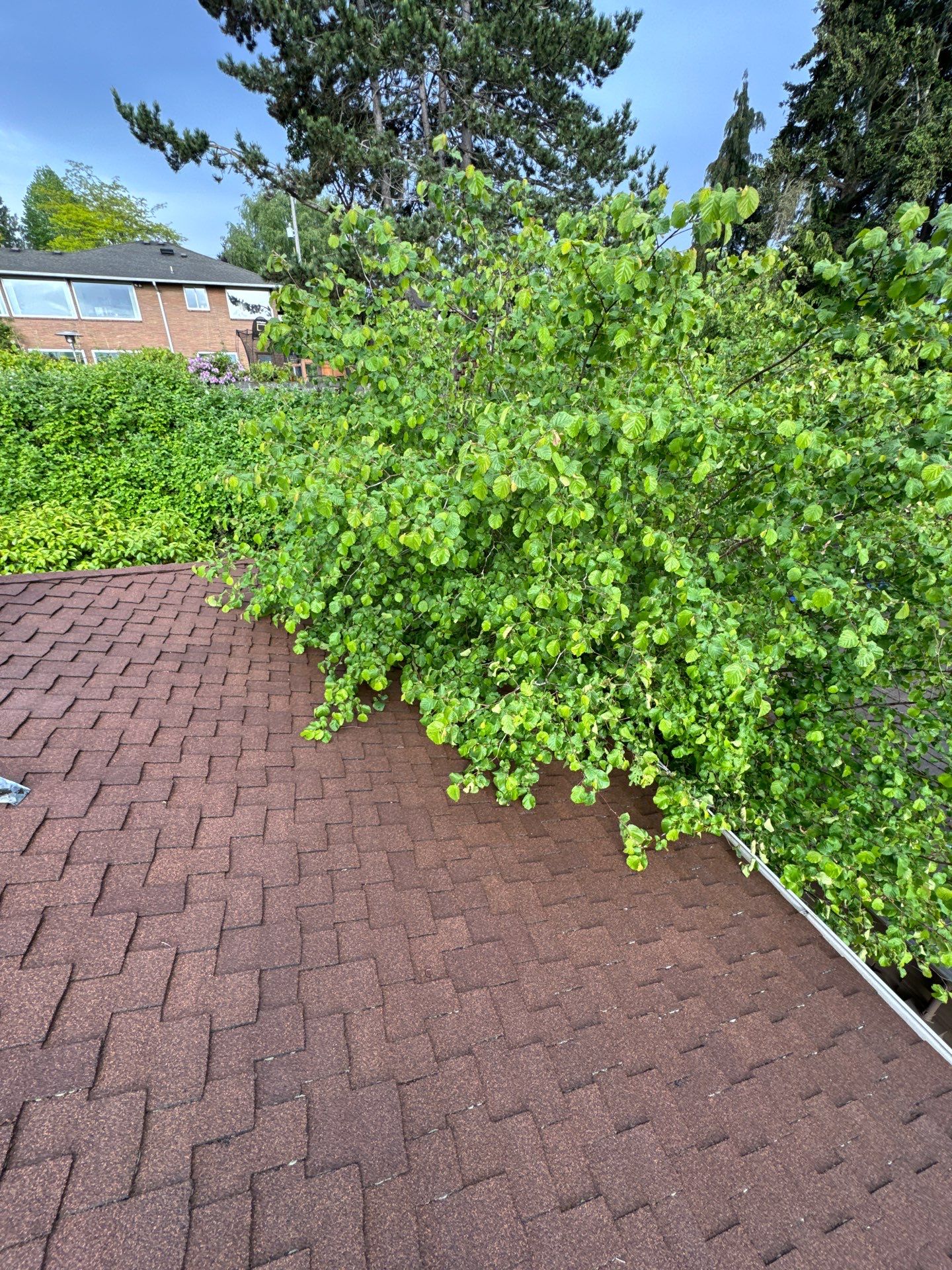 Project in Seattle by Connolly Construction Company